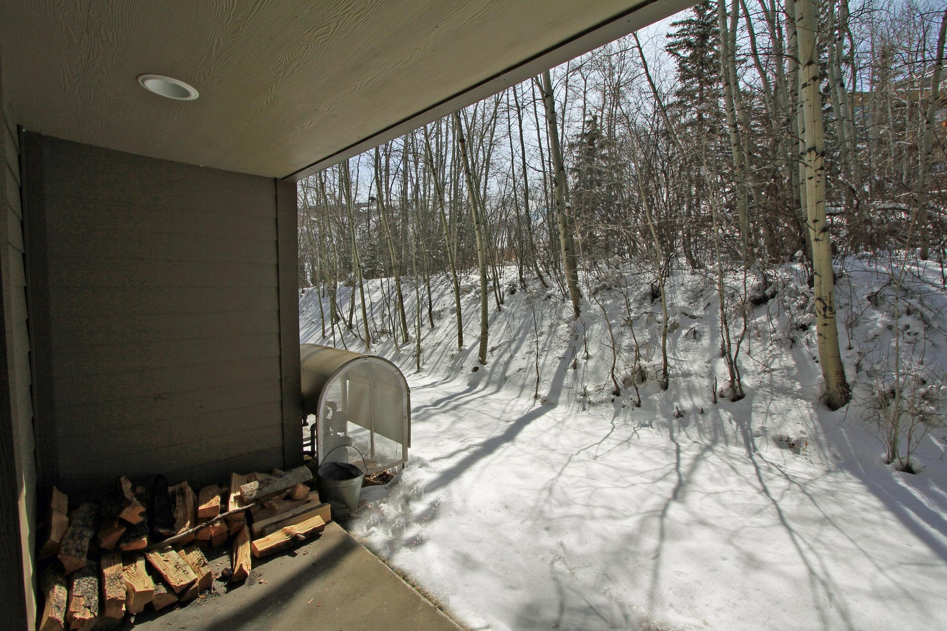 Snow Flower 134 has a private patio that over looks an aspen grove.