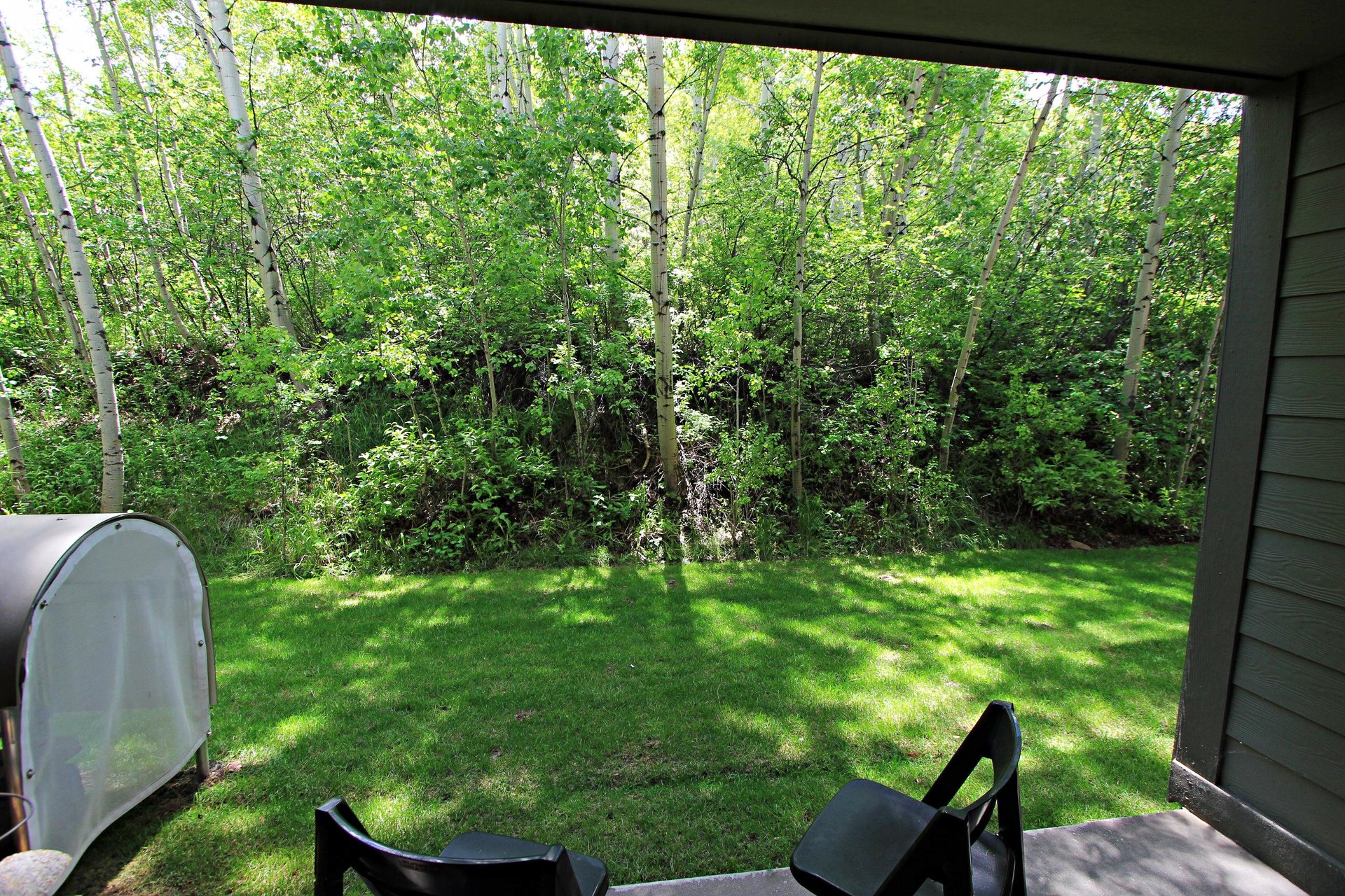 Snow Flower 134 has a private patio that over looks an aspen grove.