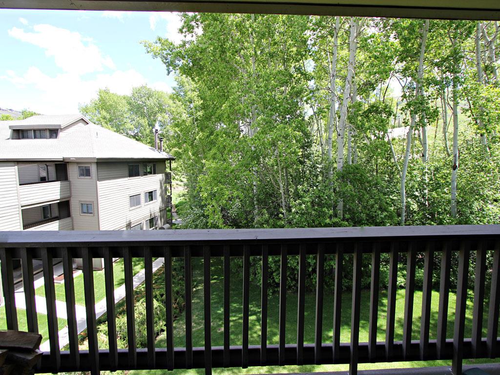 The summer view from the private patio.