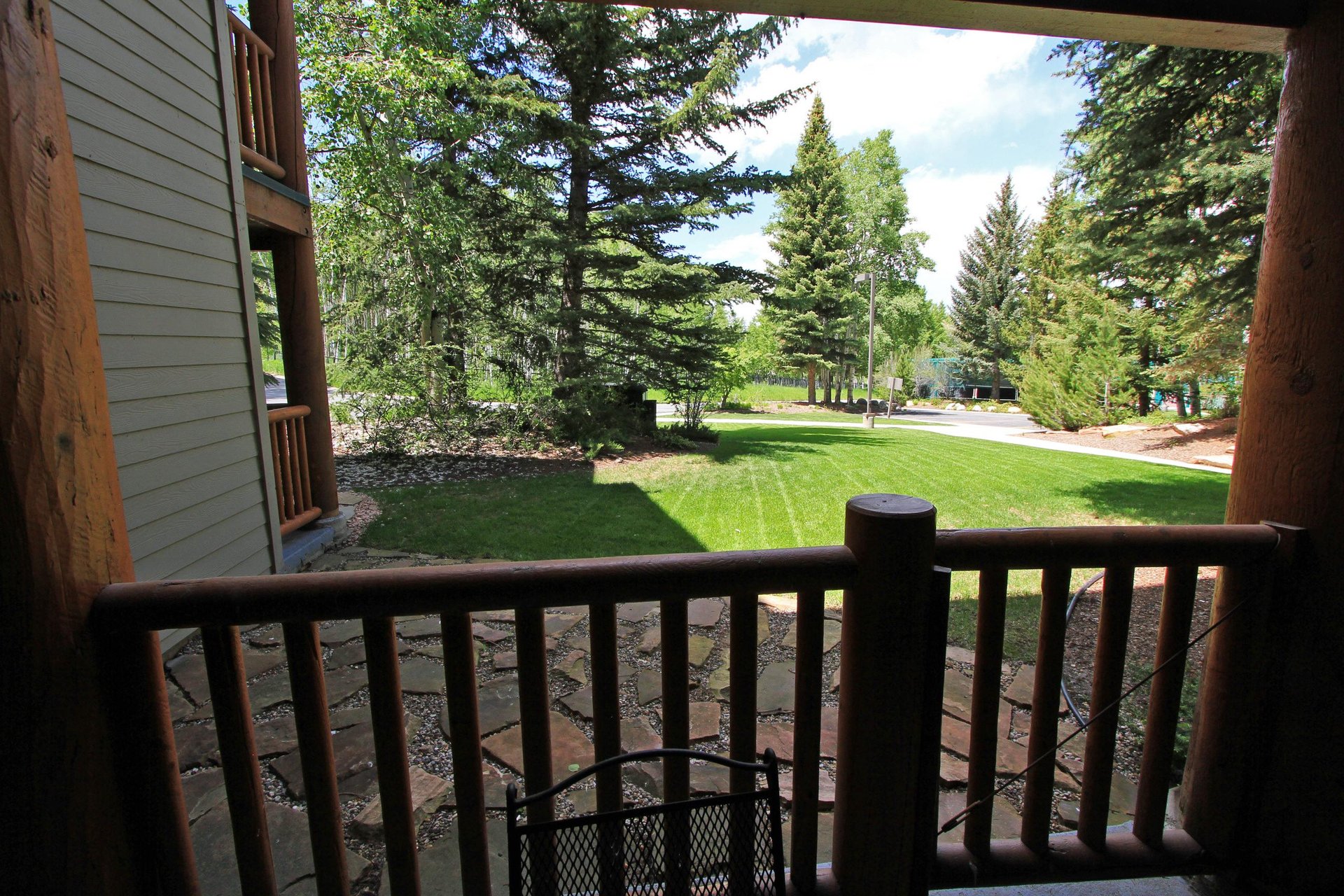 Summer View
