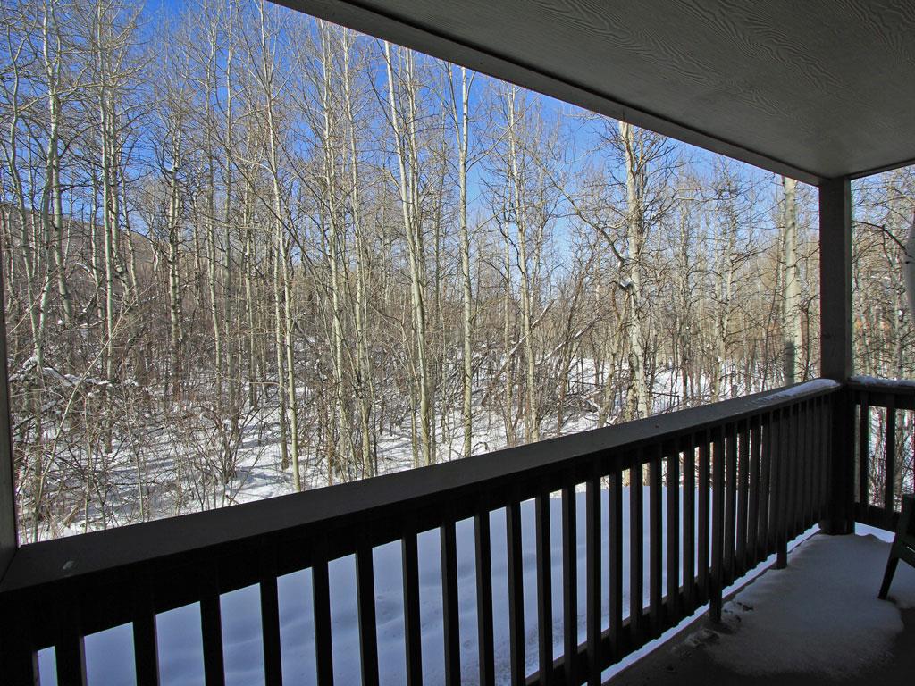 Private patio with wintery views of the grove of Aspen trees
