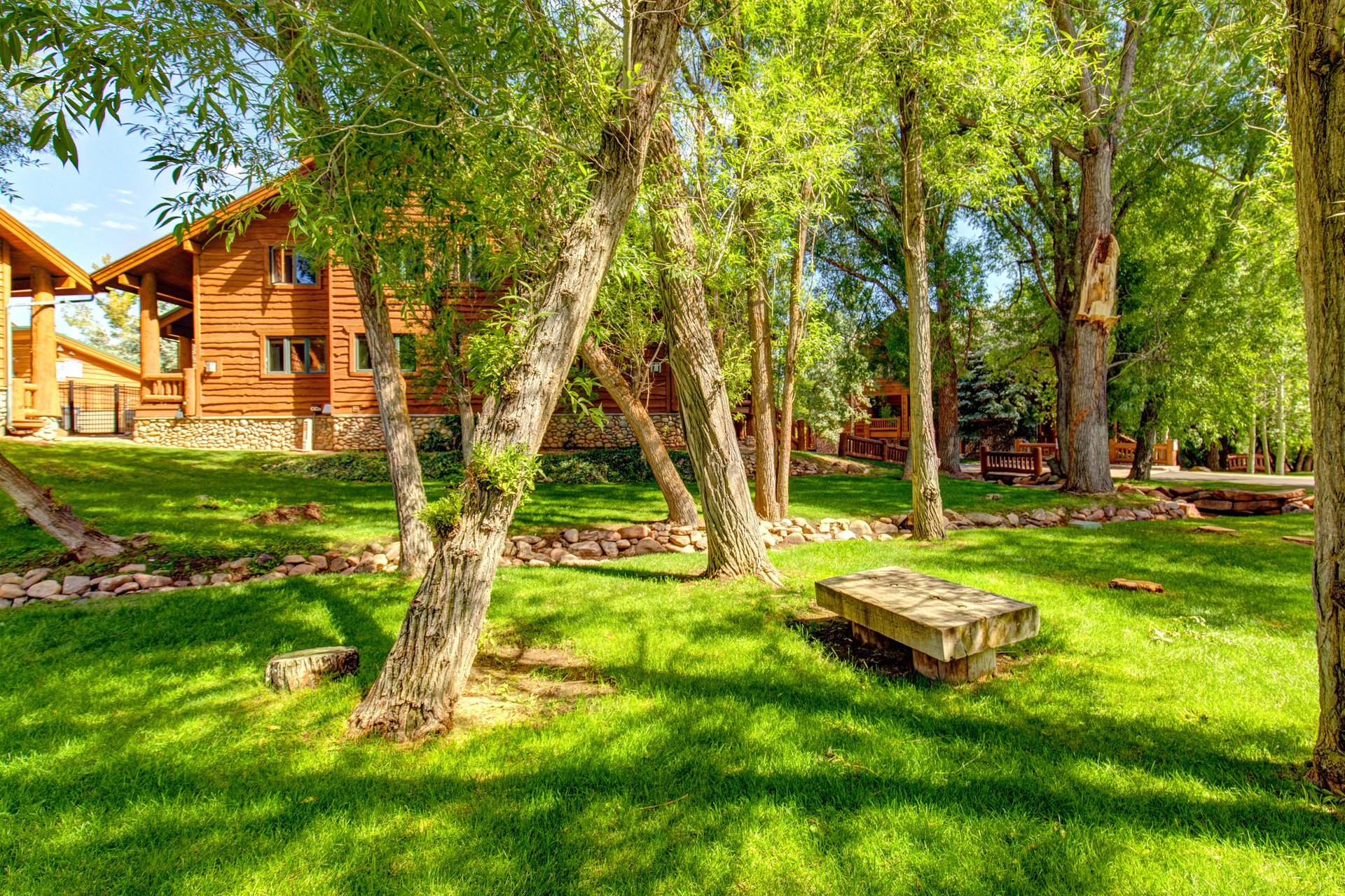 Plants, trees and a babbling creek in the open space across from Timber Wolf Lodge 7C.