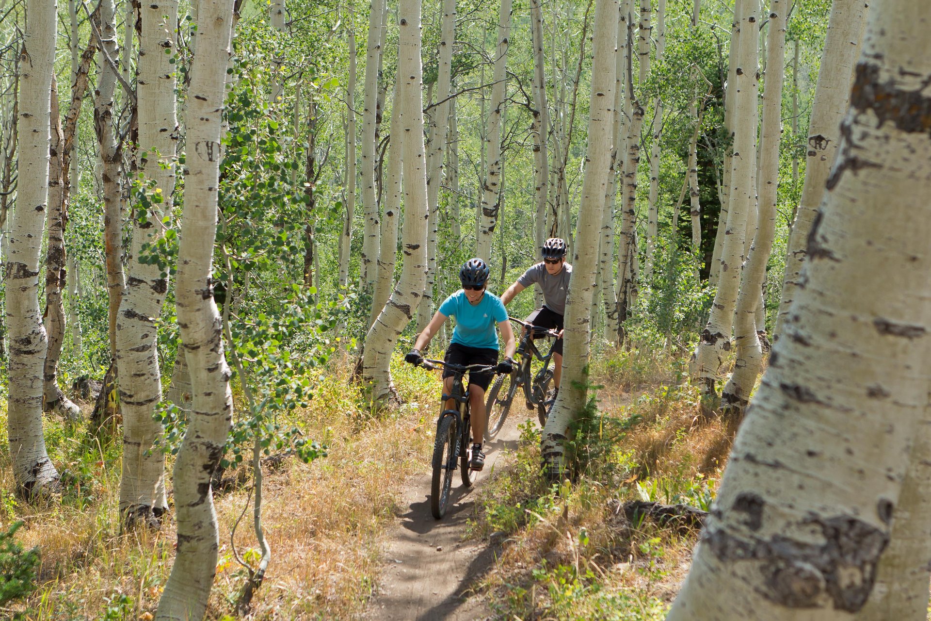 Mountain biking through the aspen trees at Park City Mountain.