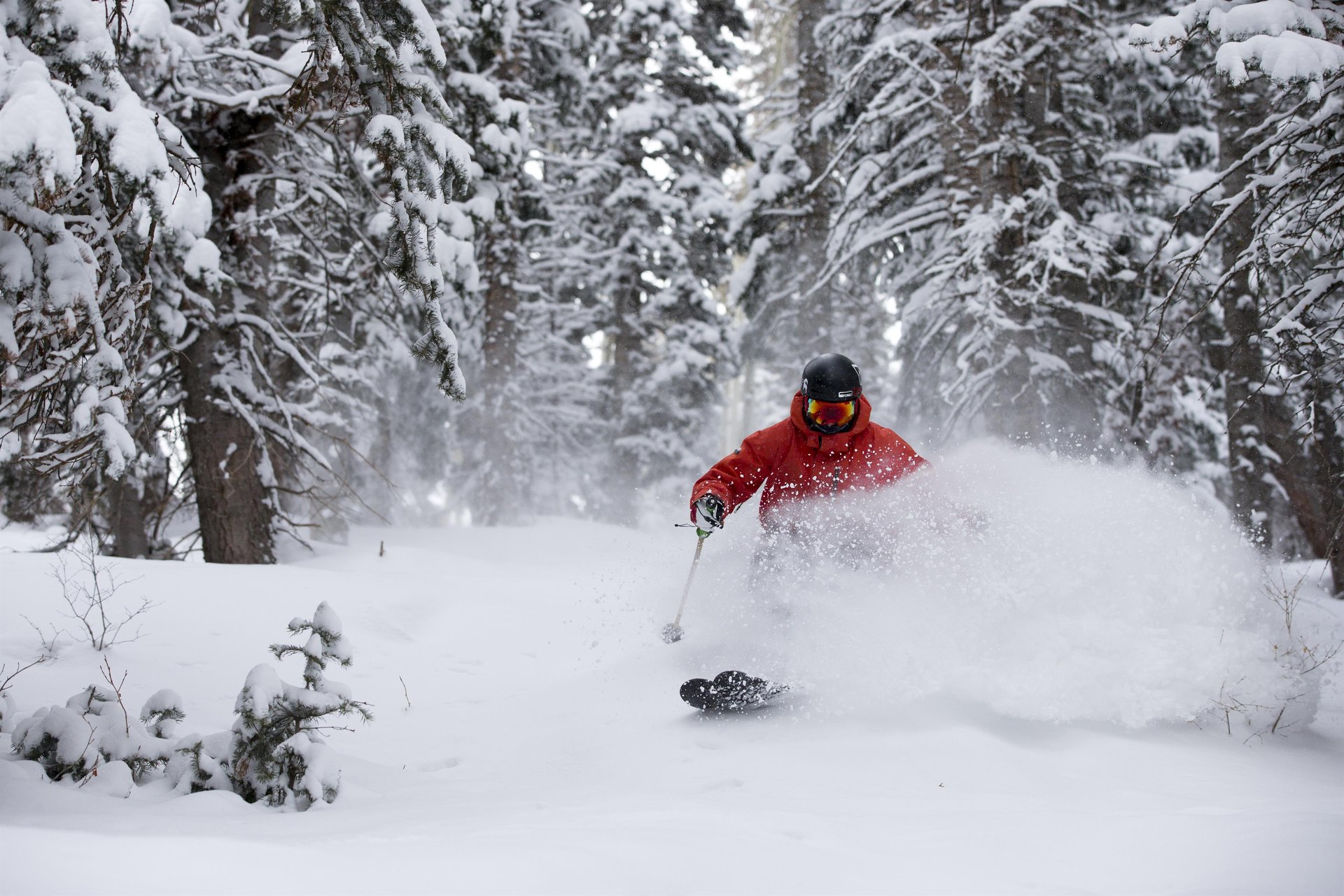 Powder Skier at Park City Mountain Resort.