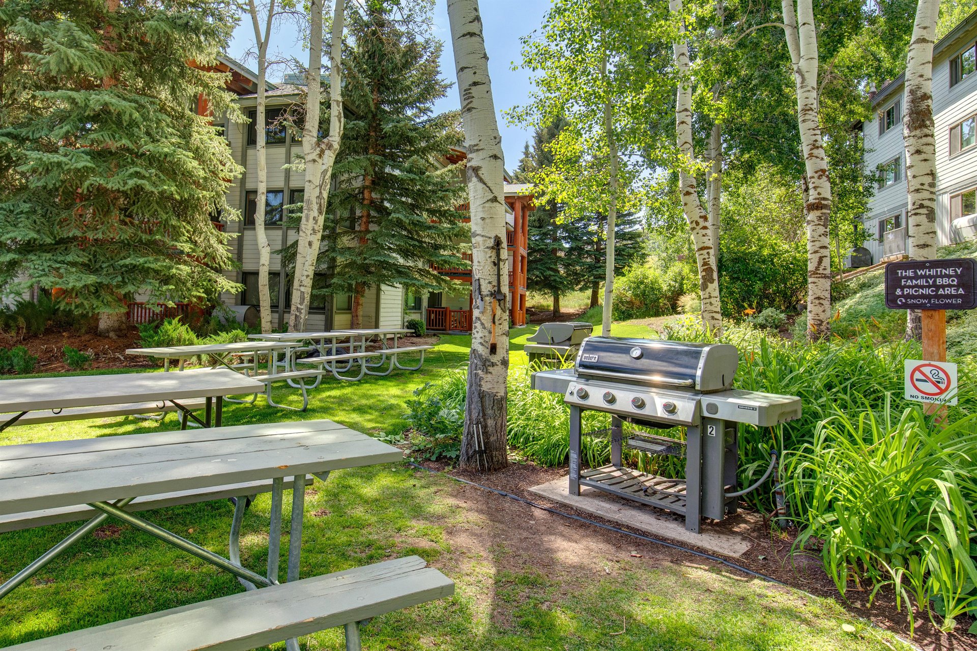 Fire up the grill for your perfect mountain barbecue surrounded by towering aspen trees and lush landscaping.