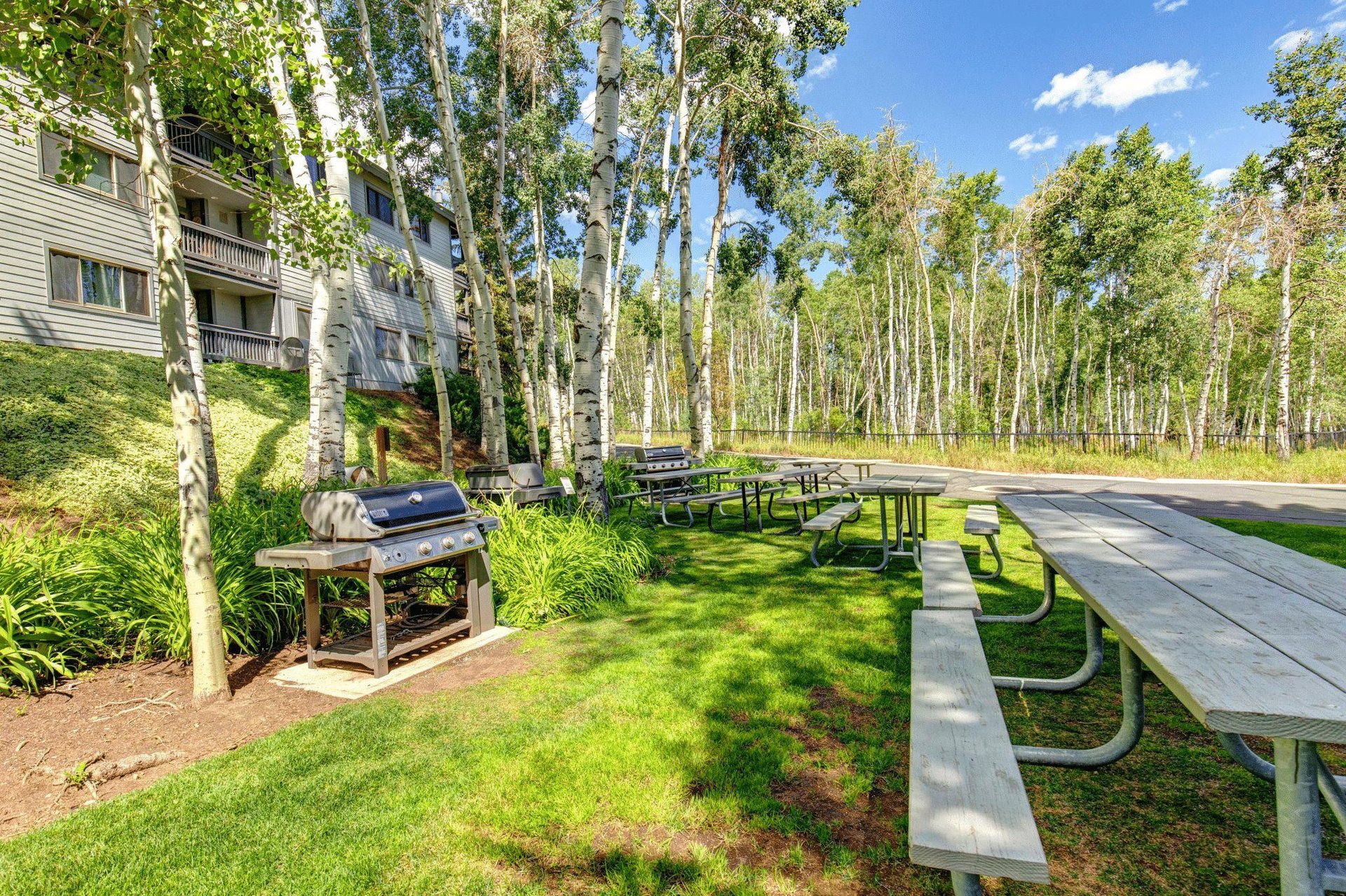 Snowflower BBQ with 5 picnic table and 2 large gas grills