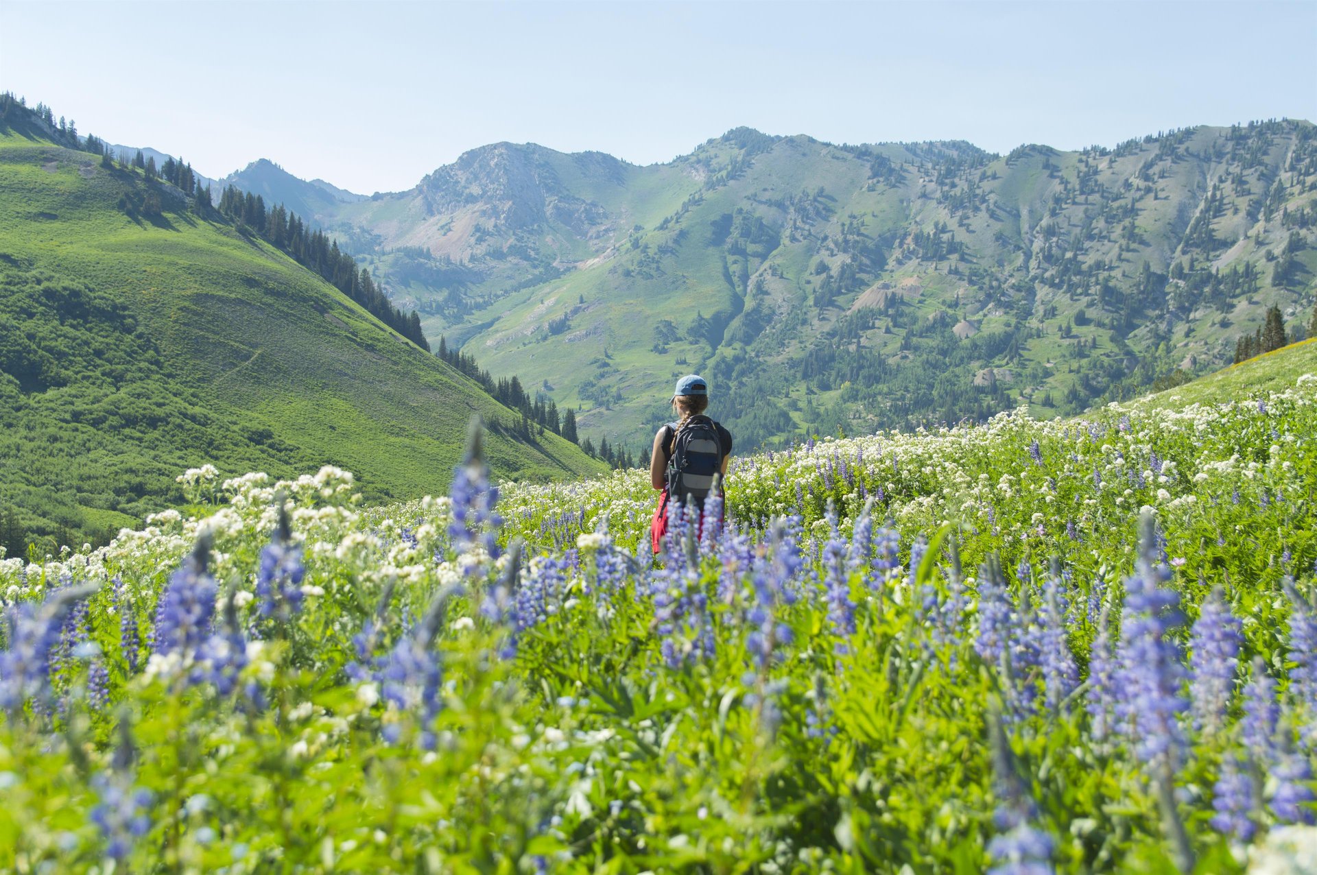 A hiker in the Wasatch Mountains near Park City, Utah