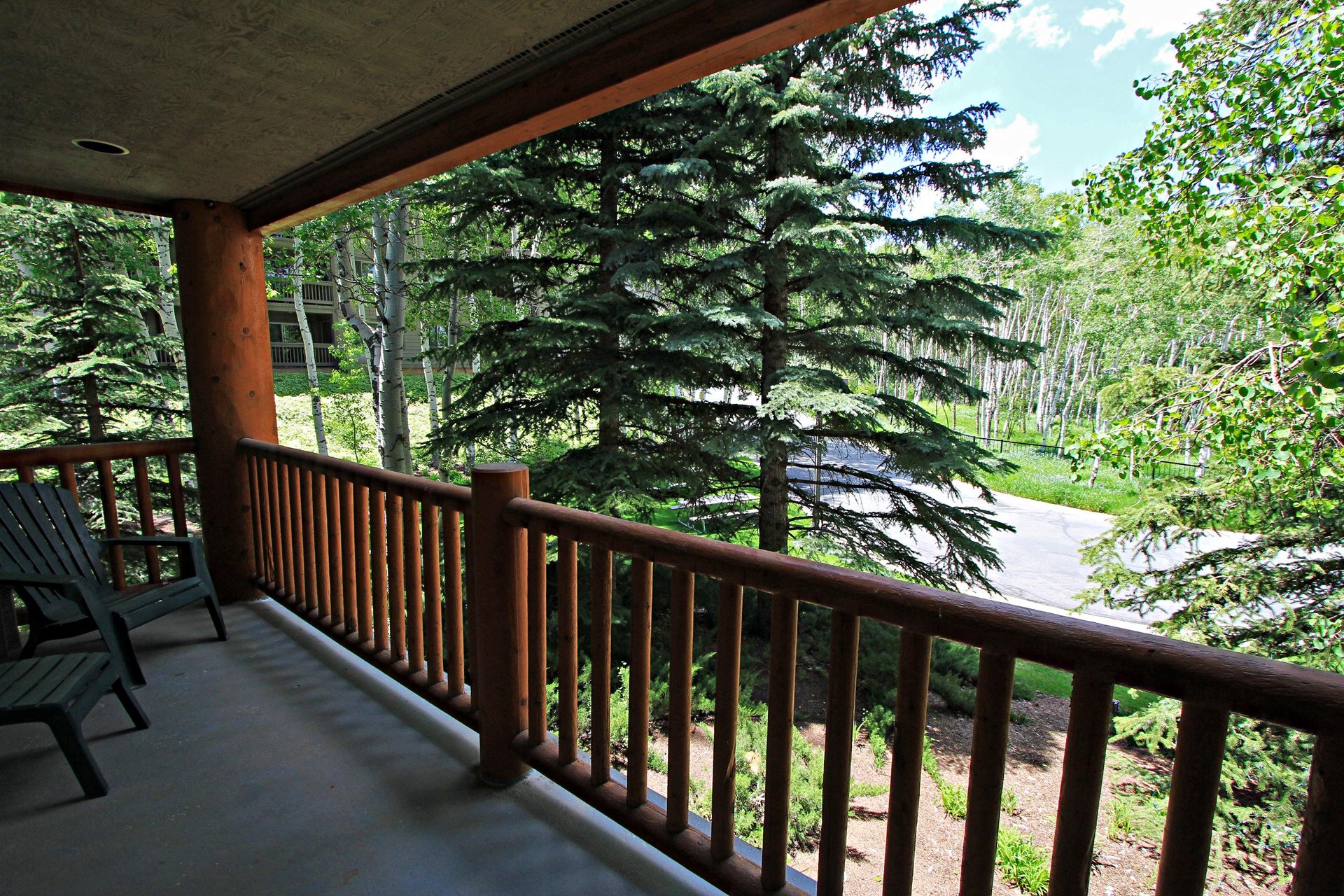Summer View