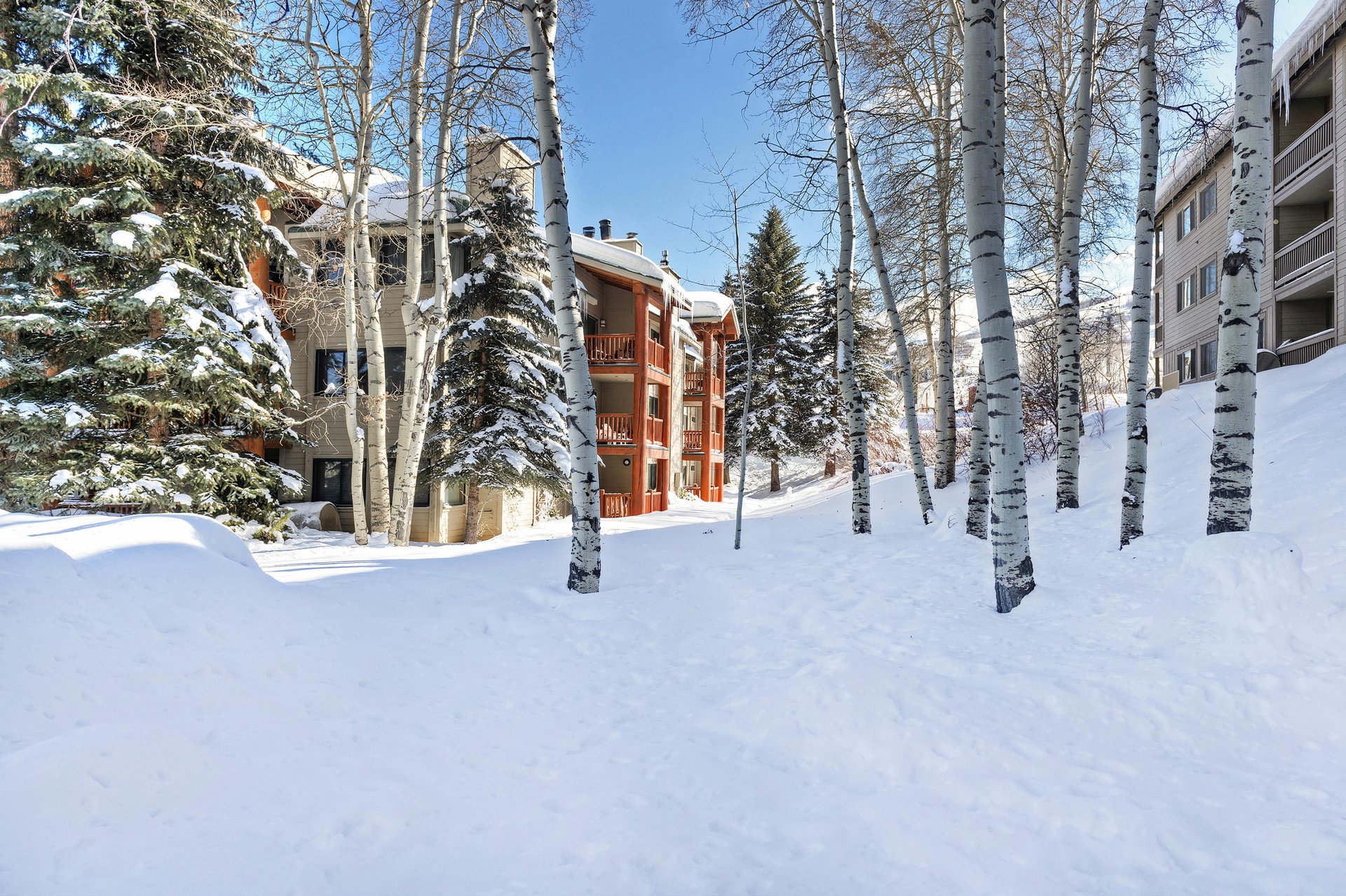 Winter Wonderland or Plenty of open space for making snowmen or an impromptu snowball fight