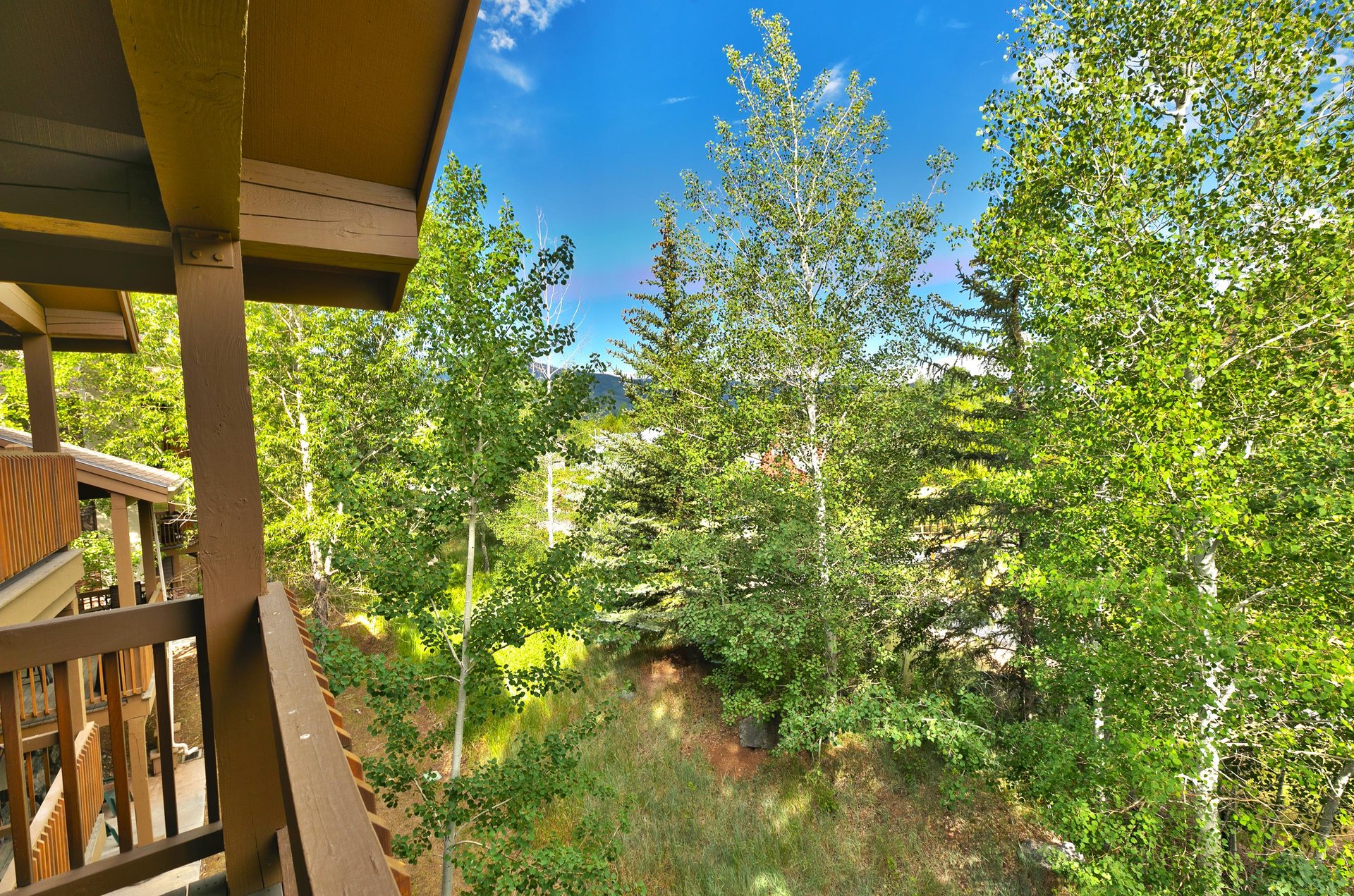 Mountain escape surrounded by aspen trees, firs, and pine trees