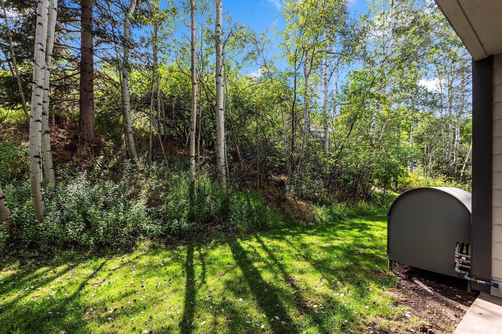 Wooded outdoor setting with mature aspen trees beside the Snow Flower condo