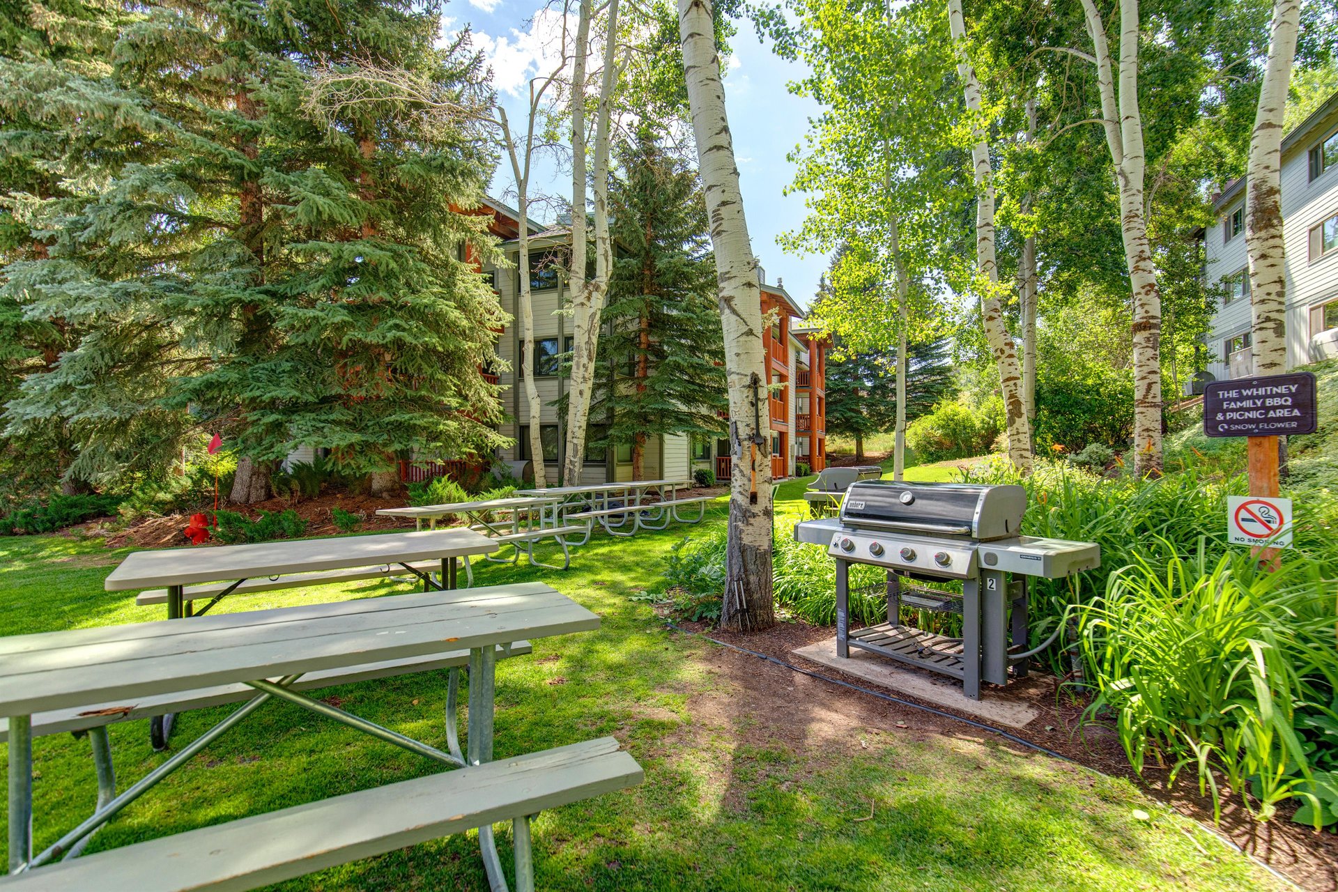 Outdoor picnic and grilling area surrounded by mature trees and lush greenery at Snow Flower
