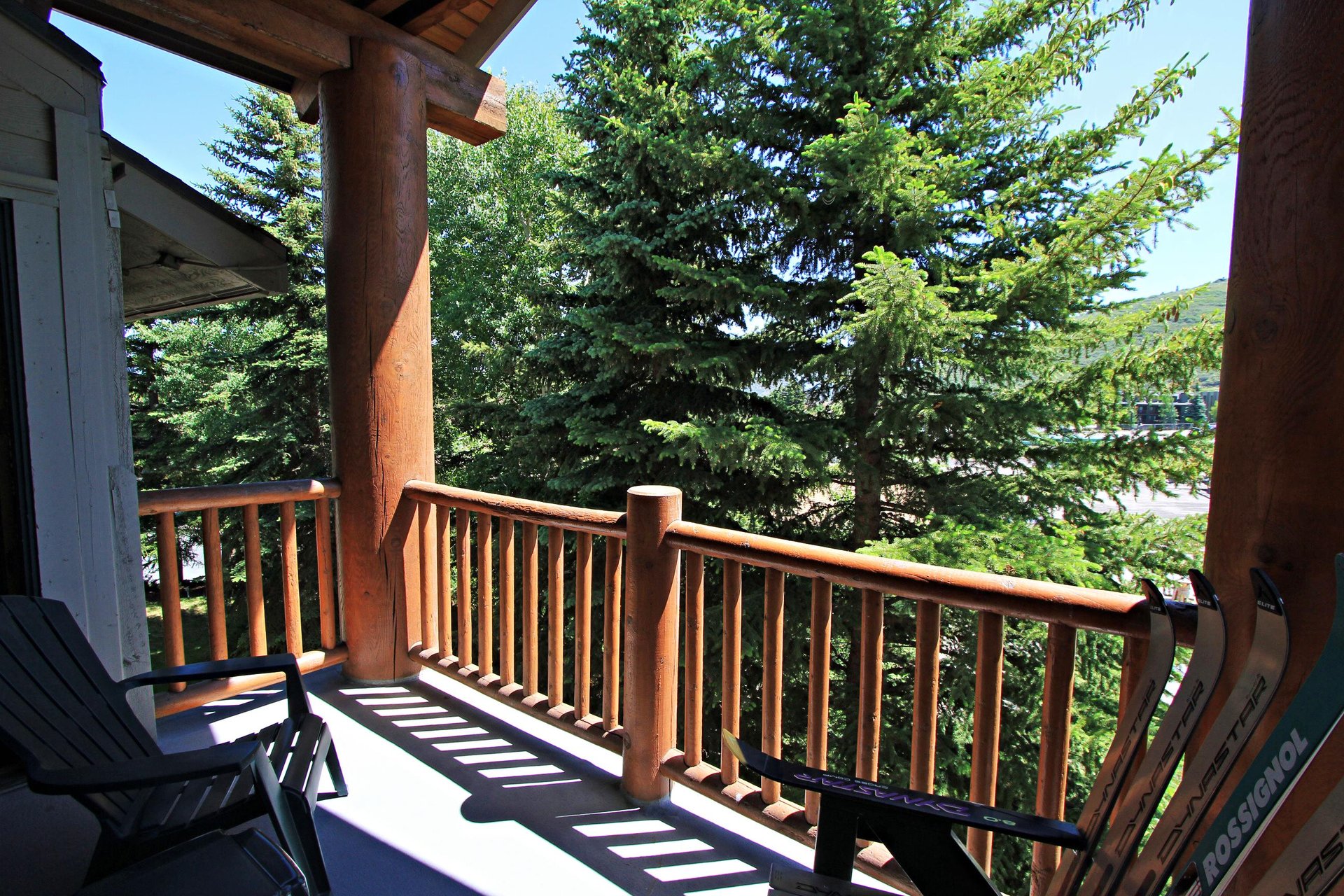 Summer View