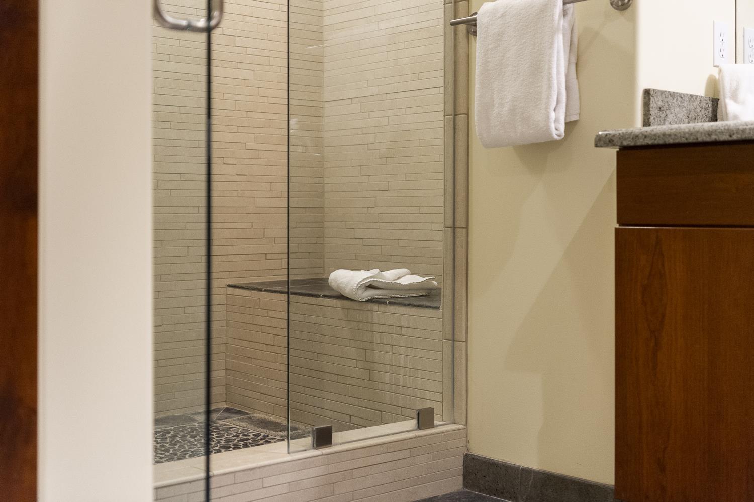 Shower in the main bathroom