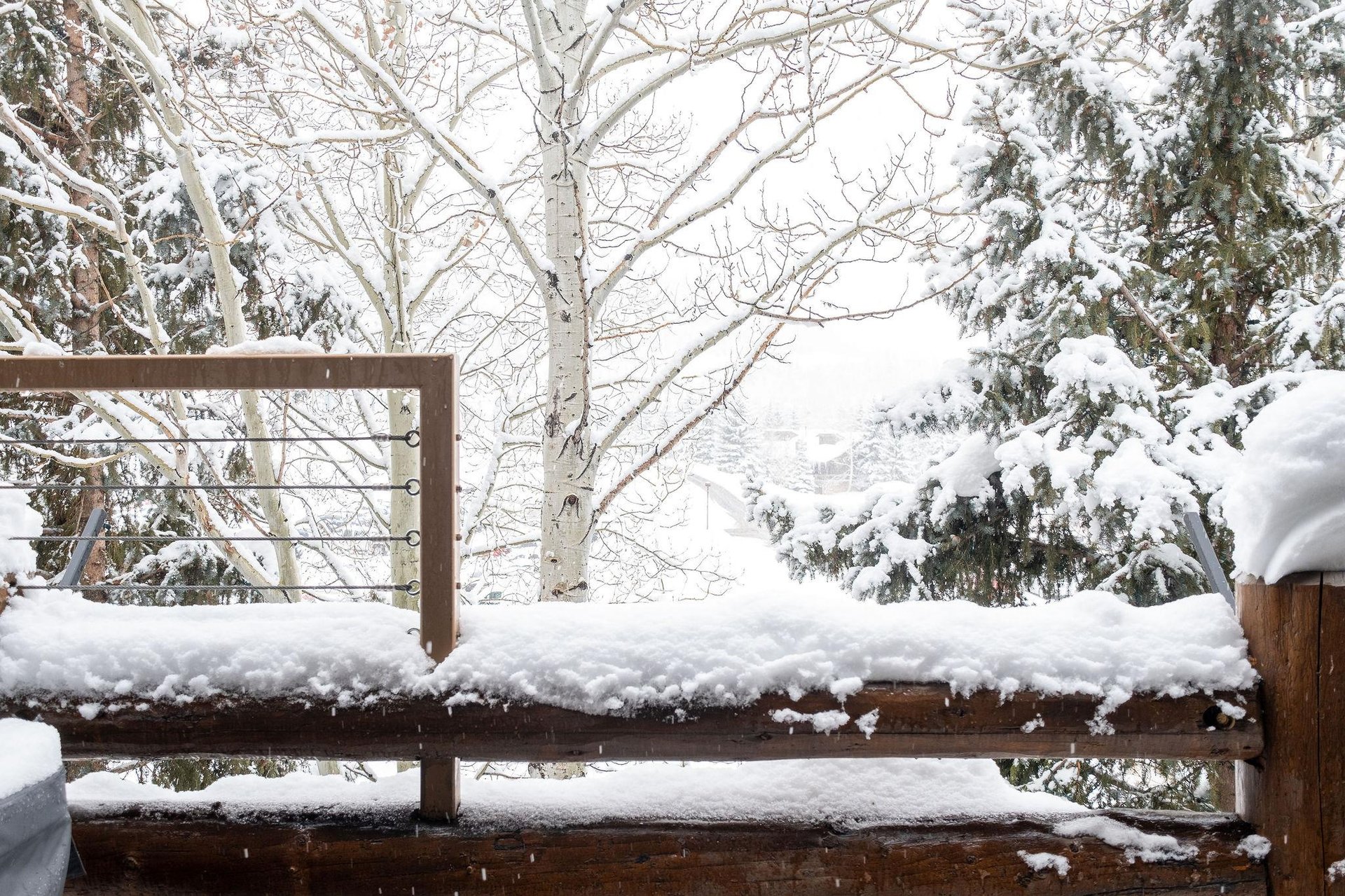 Snow winter wonderland