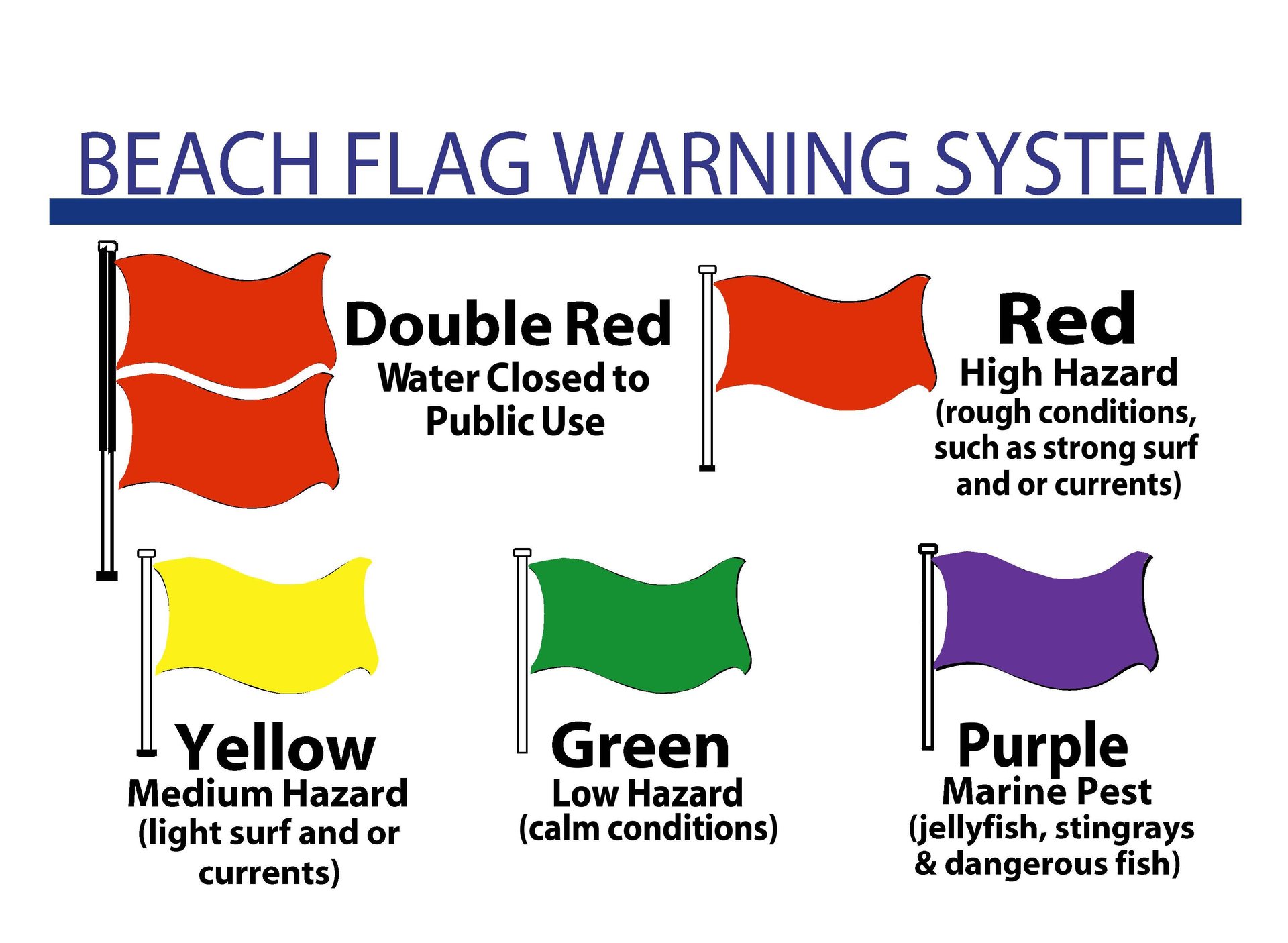 beachflagstybee