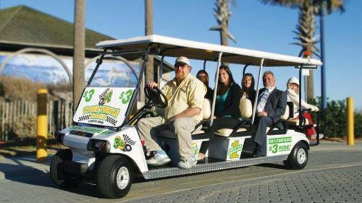 Turtle Transportation