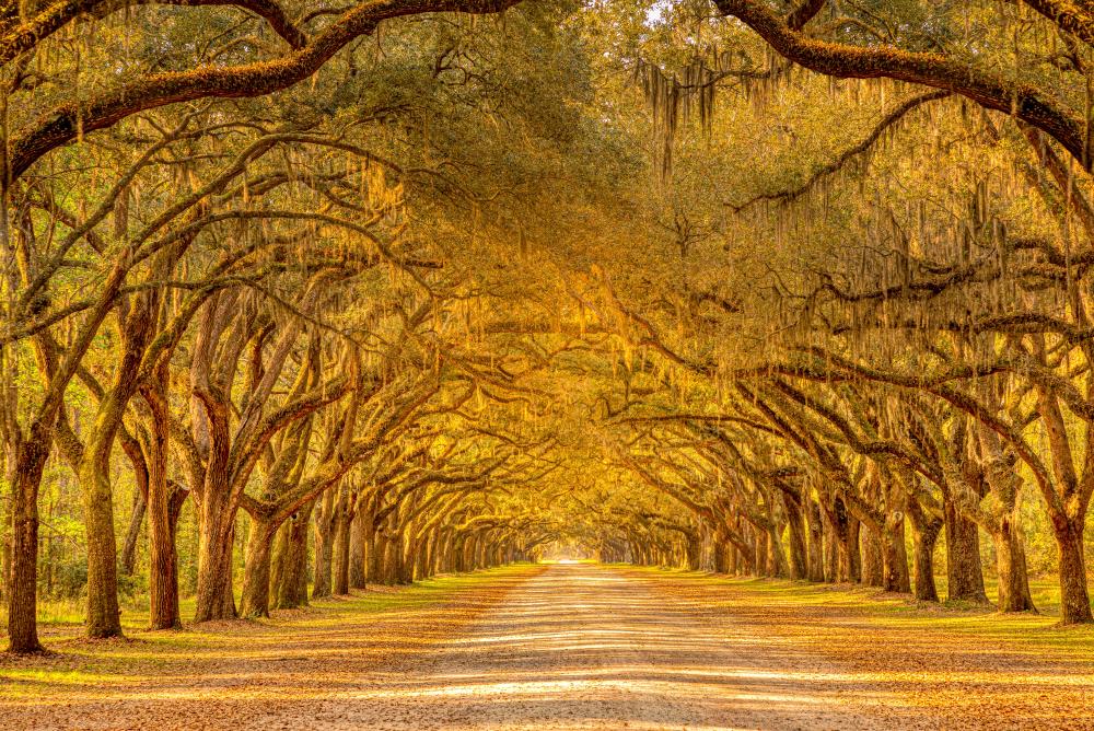 shutterstock_1496113175 1 shutterstock_1496113175 1