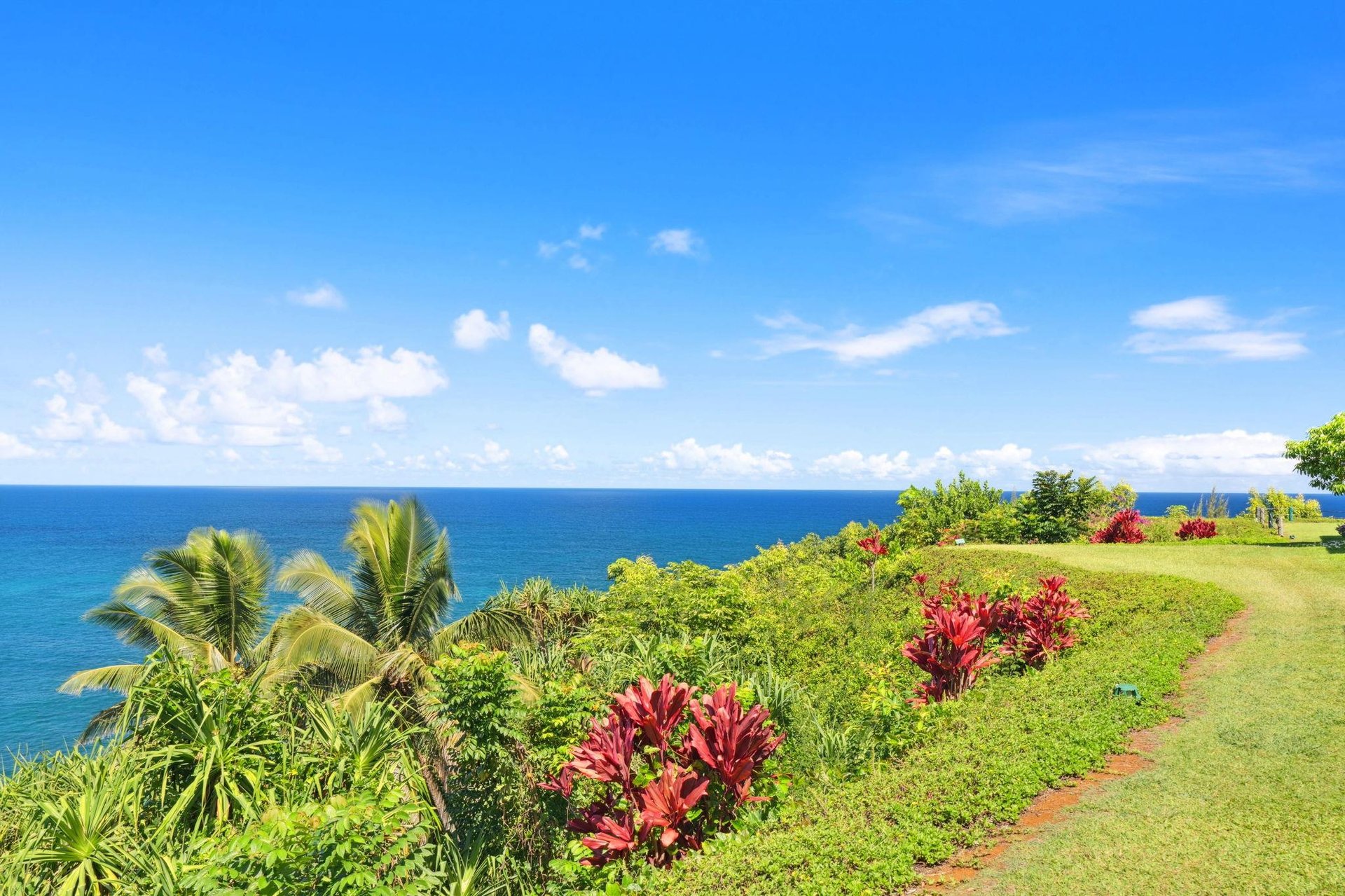 Picture perfect in Paradise