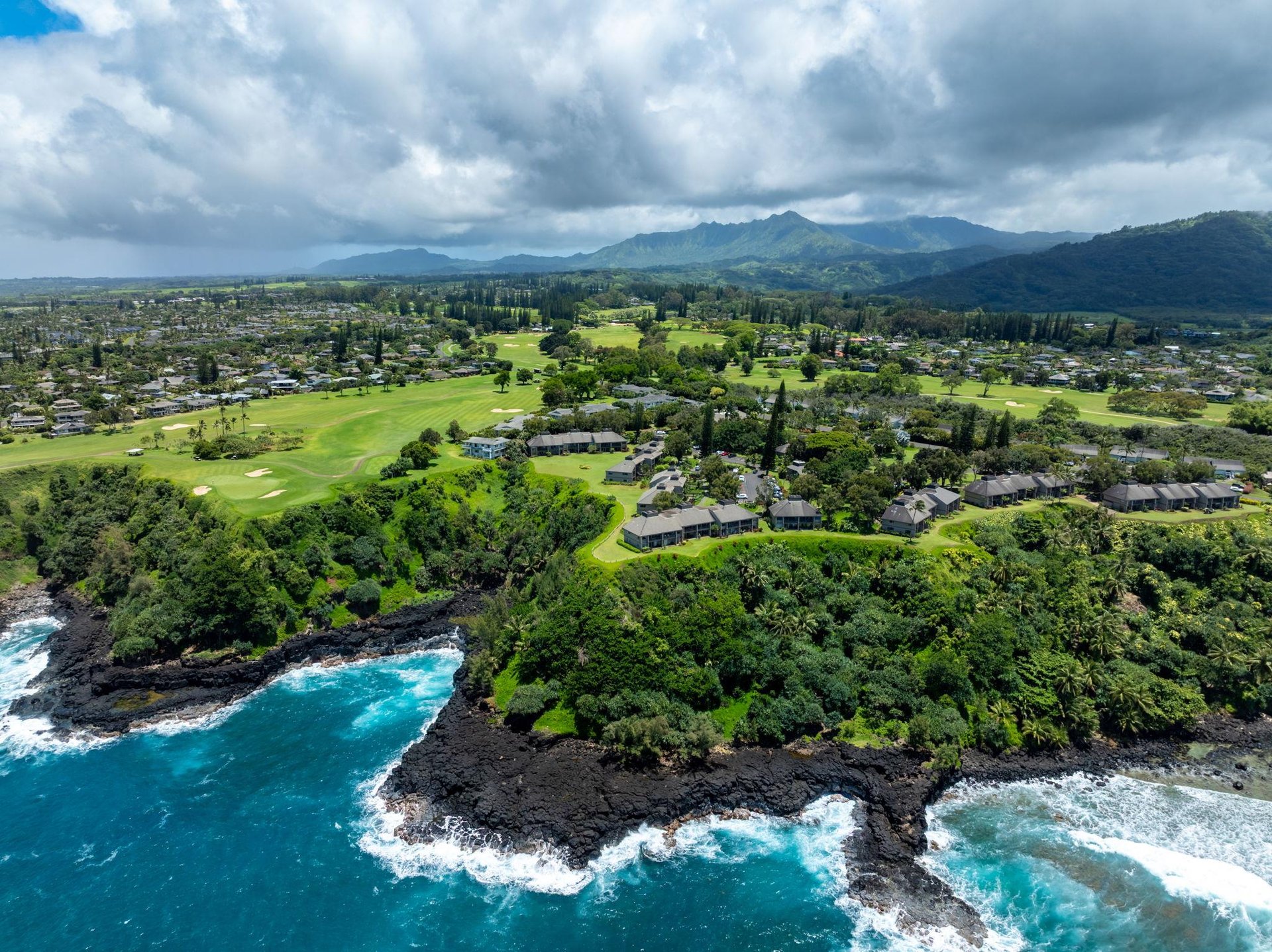 Hawaiian lava rock, tropical flora, just beautiful