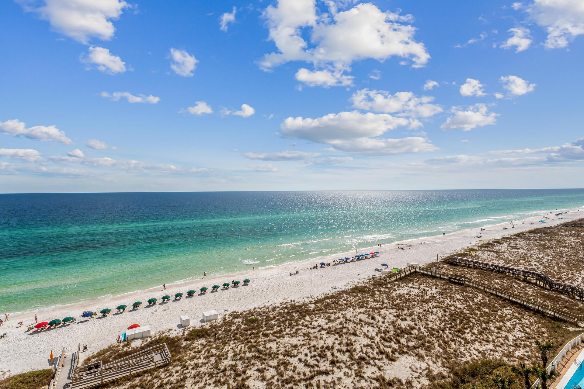 The Pearl of Navarre 804 32
