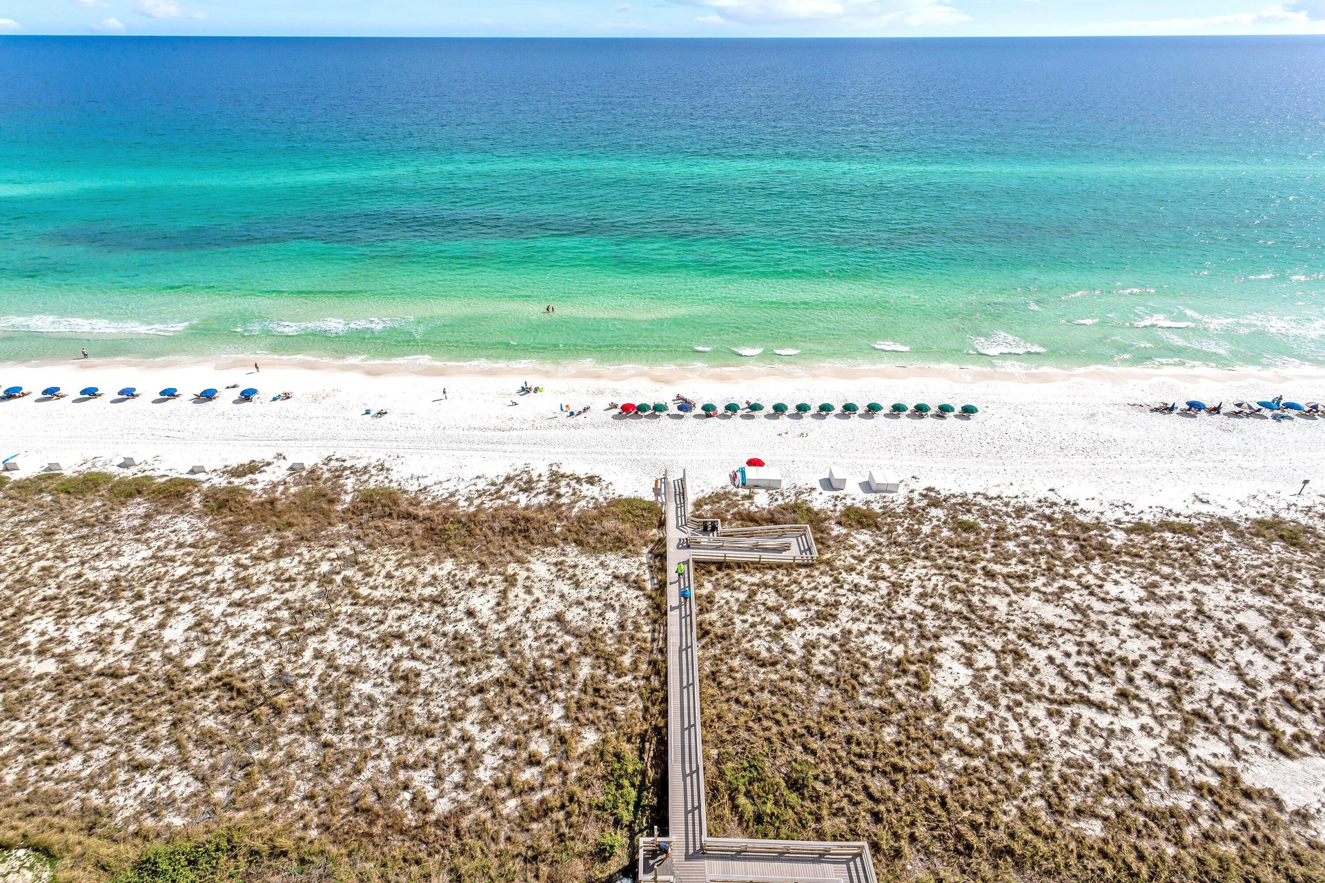 The Pearl of Navarre 1303  SeaGem 28