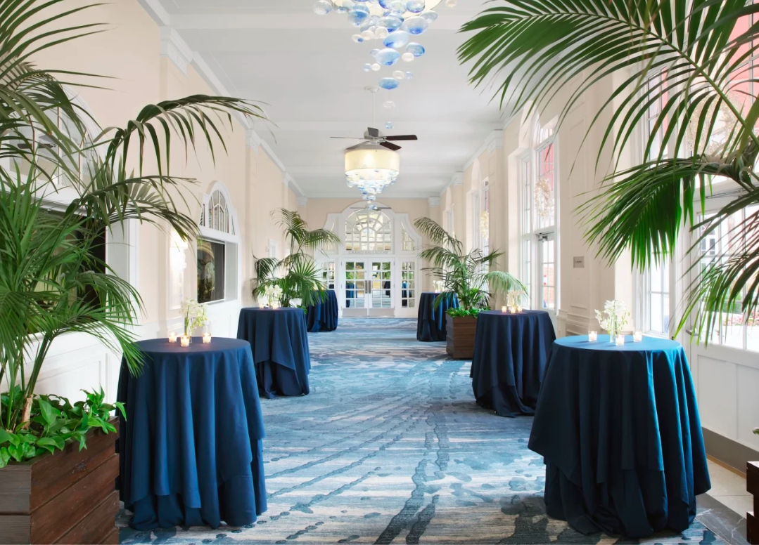 The Don CeSar