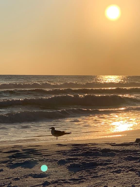 Blue Surf 6 15