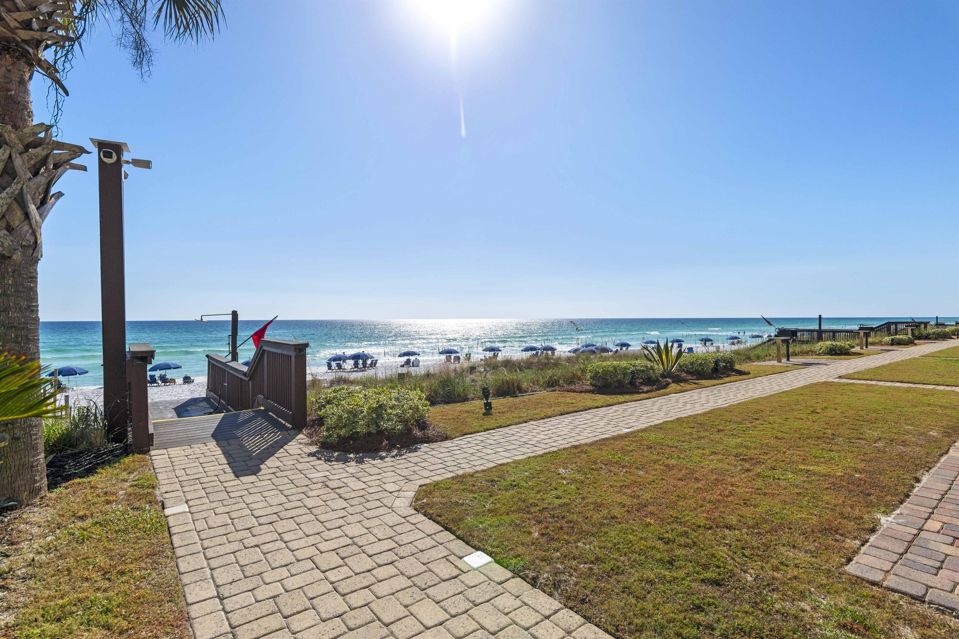 Coral Reef Club 42 21