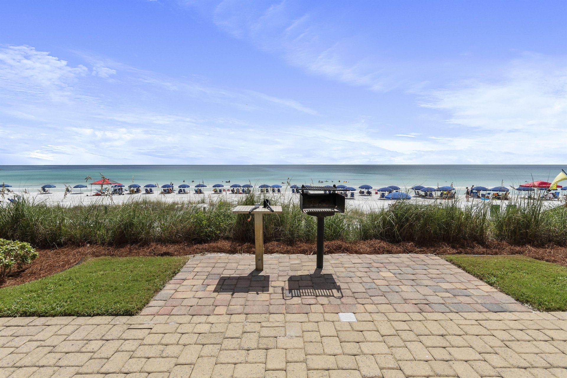 Coral Reef Club 05 20