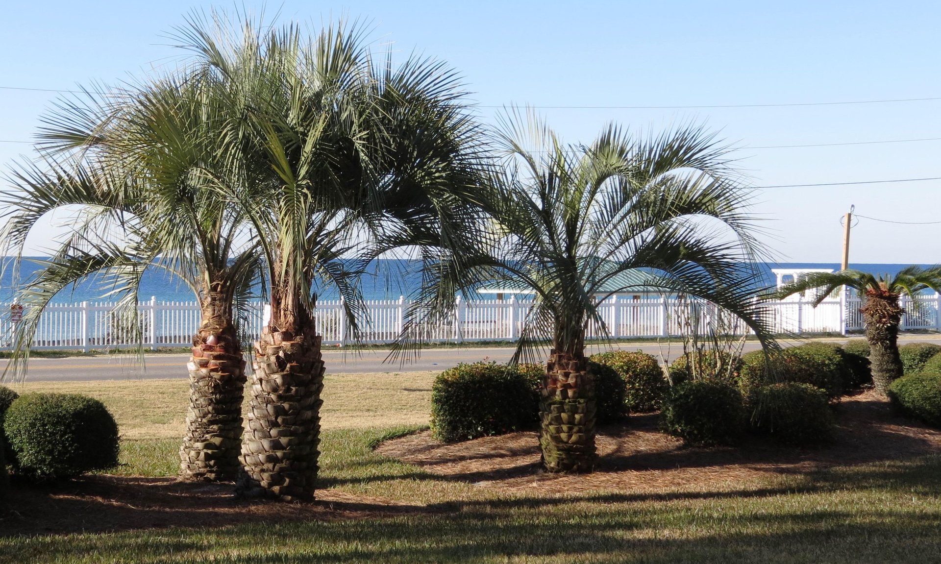 Gulf Winds East 3 10