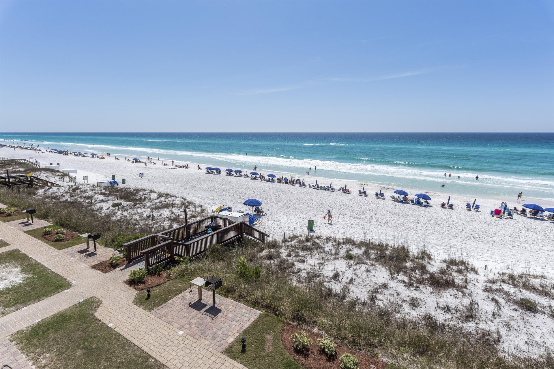 Coral Reef Club 43 23