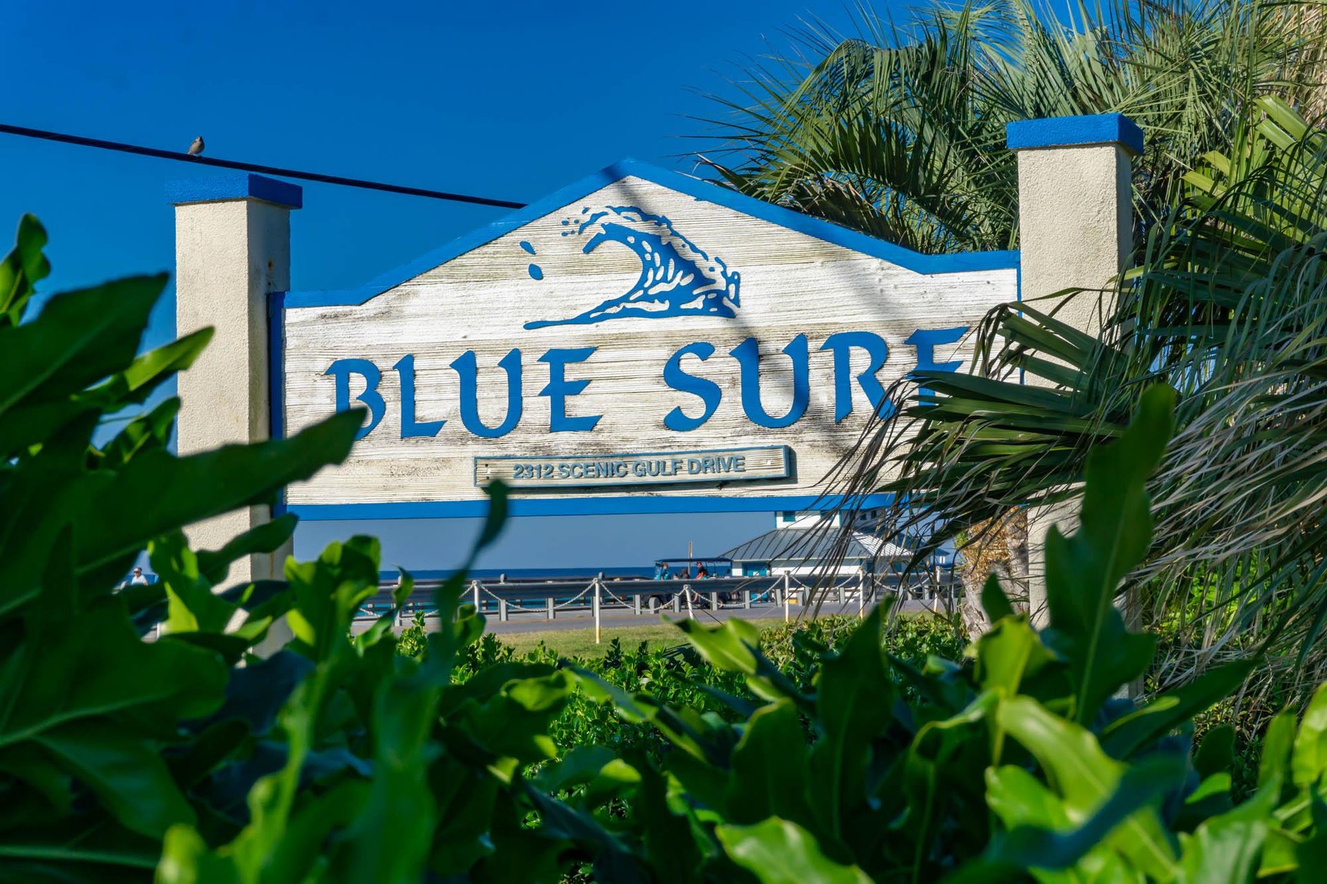 Blue Surf 2 16