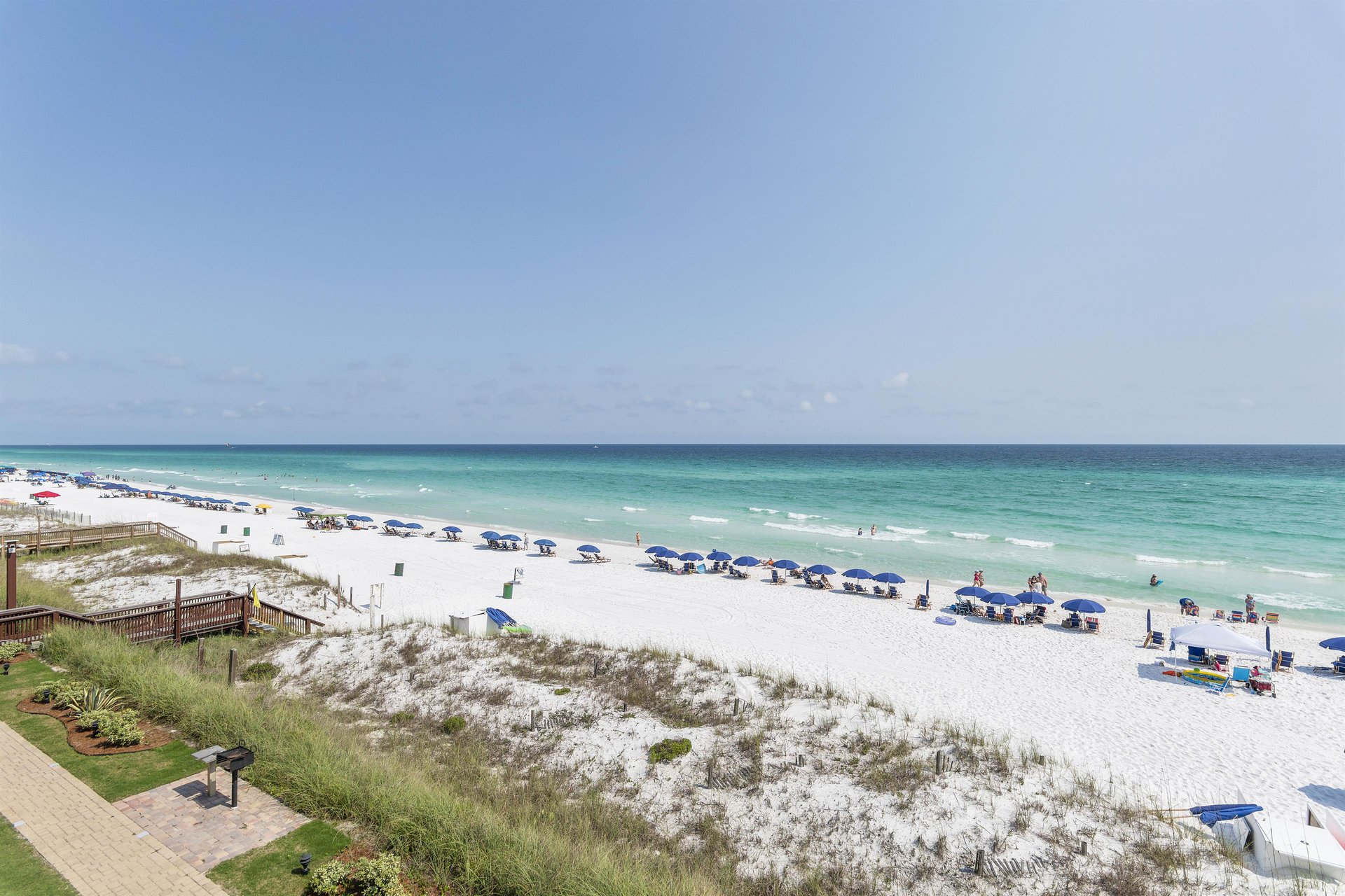 Coral Reef Club 38 23