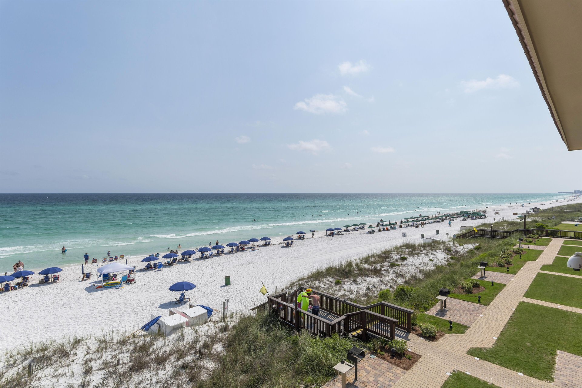 Coral Reef Club 38 24