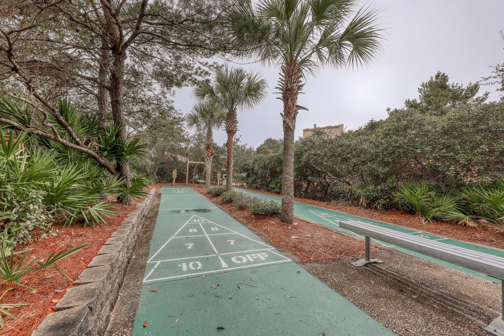 High Pointe 3131 25