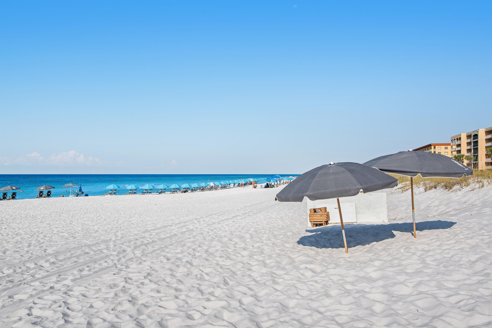 Sea Oats 706 31