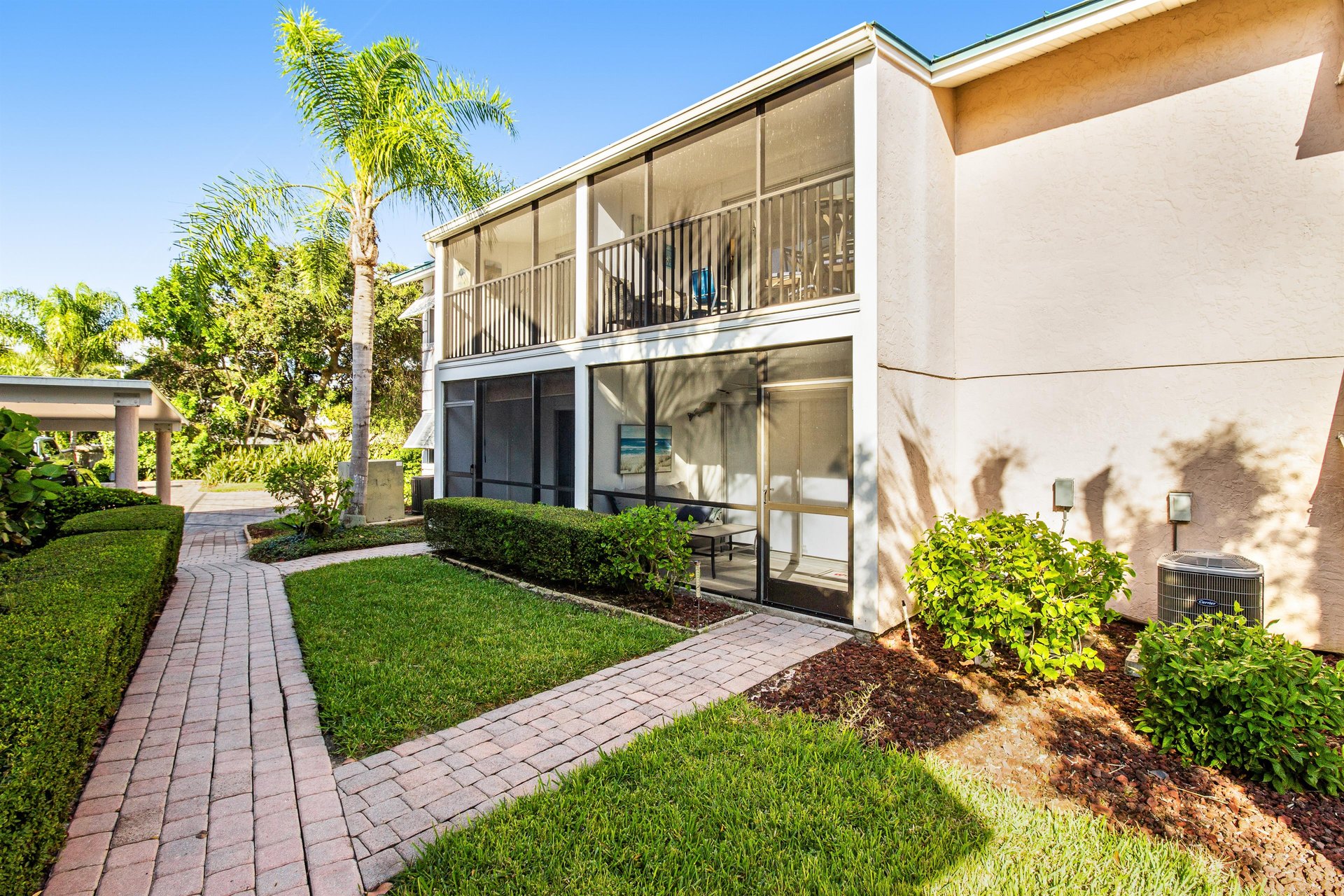 Blue Palm 26