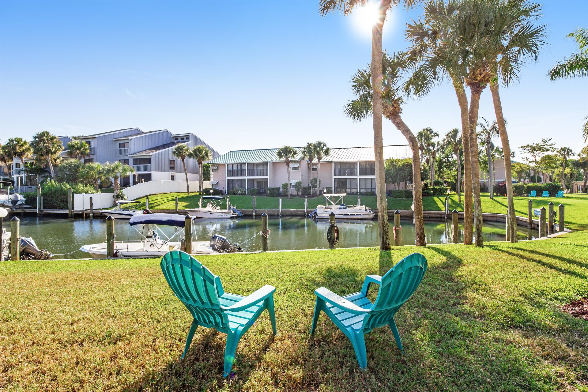 Blue Palm 27