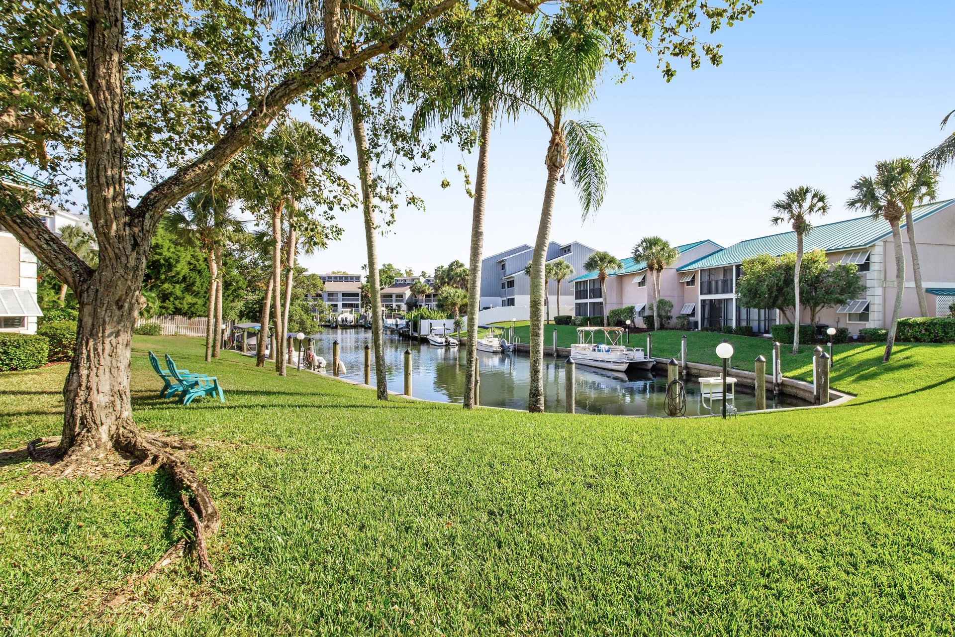Blue Palm 28