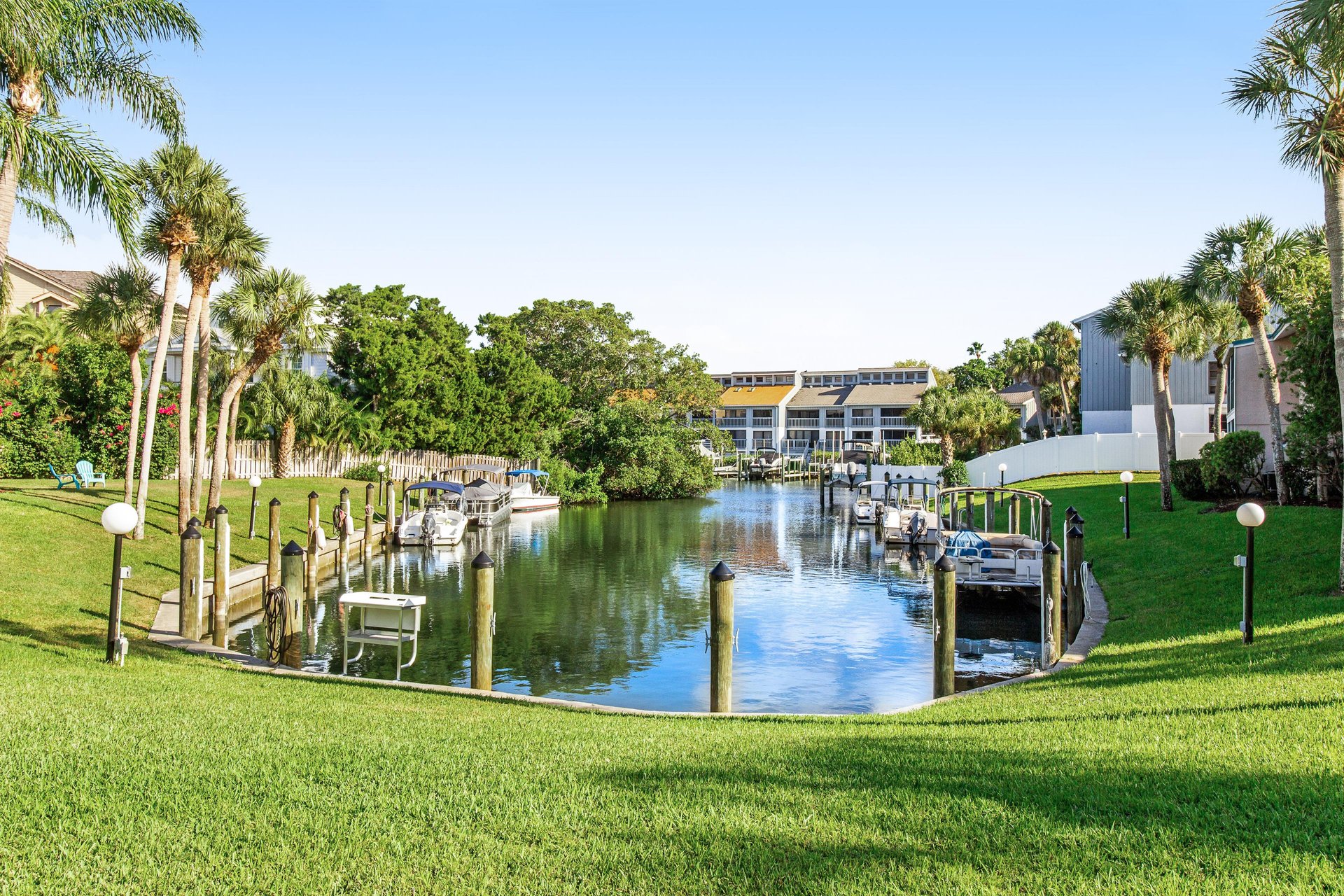 Blue Palm 29