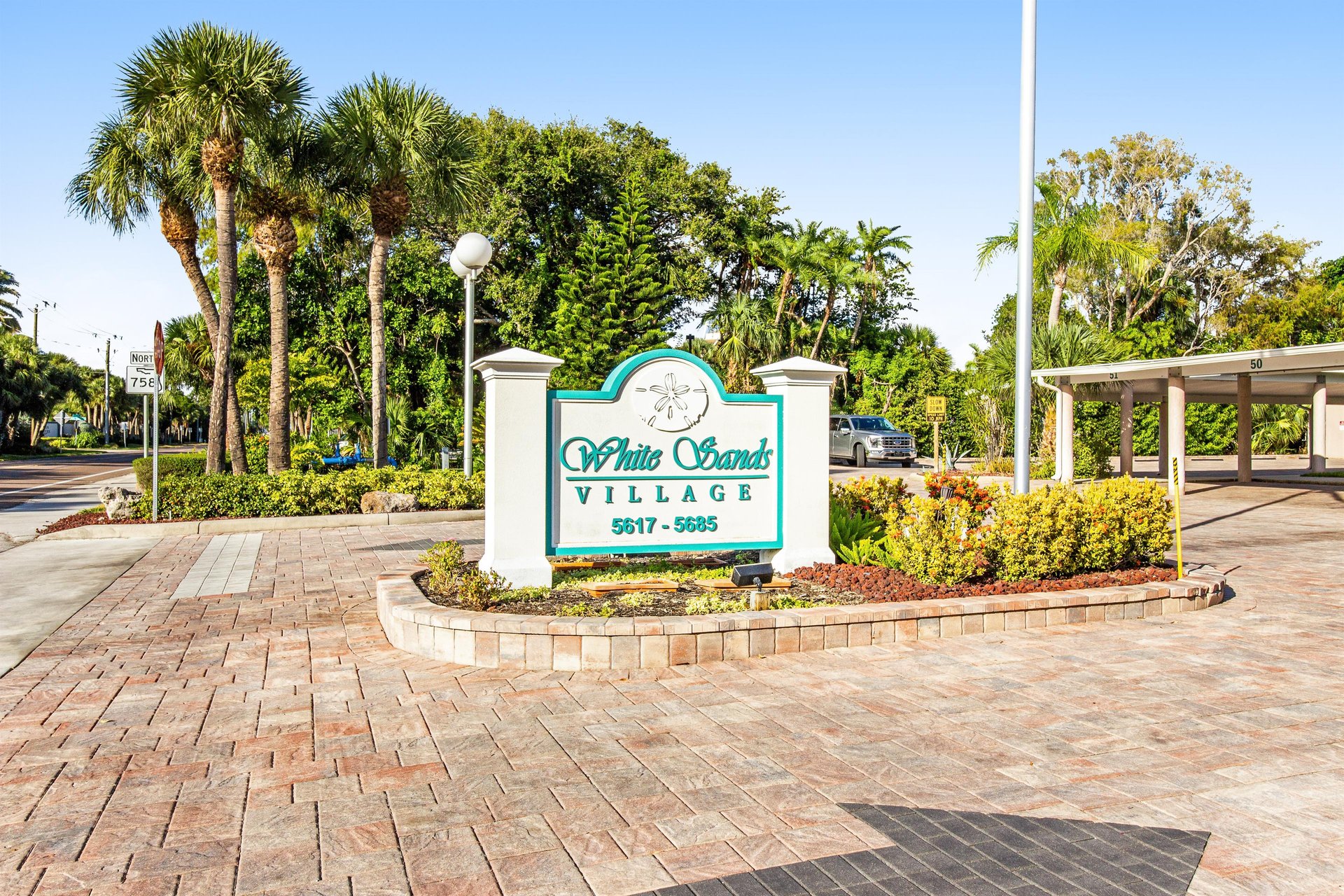 Blue Palm 30