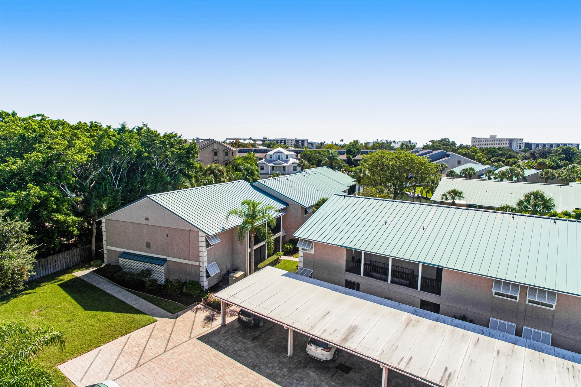 Blue Palm 39