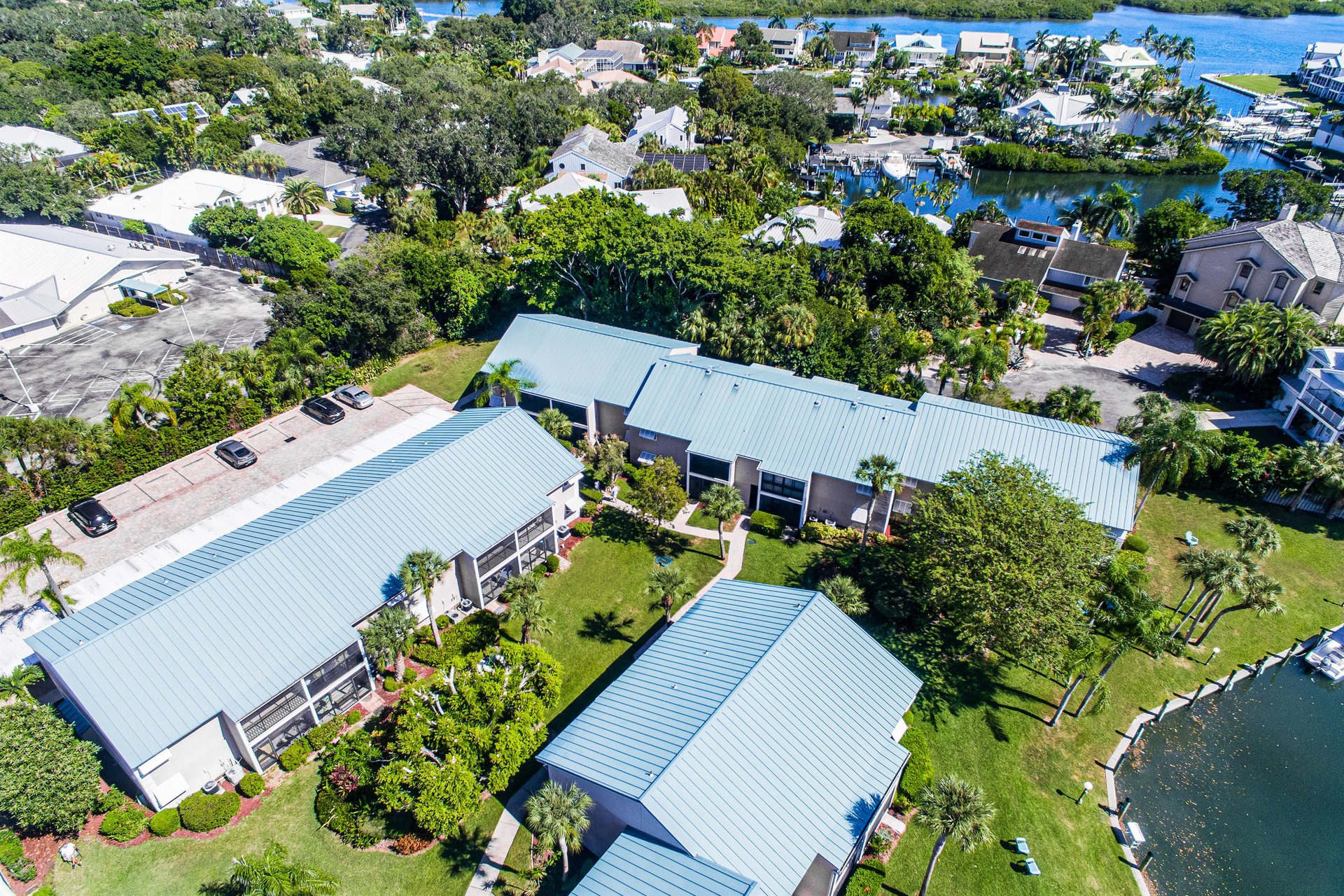Blue Palm 40