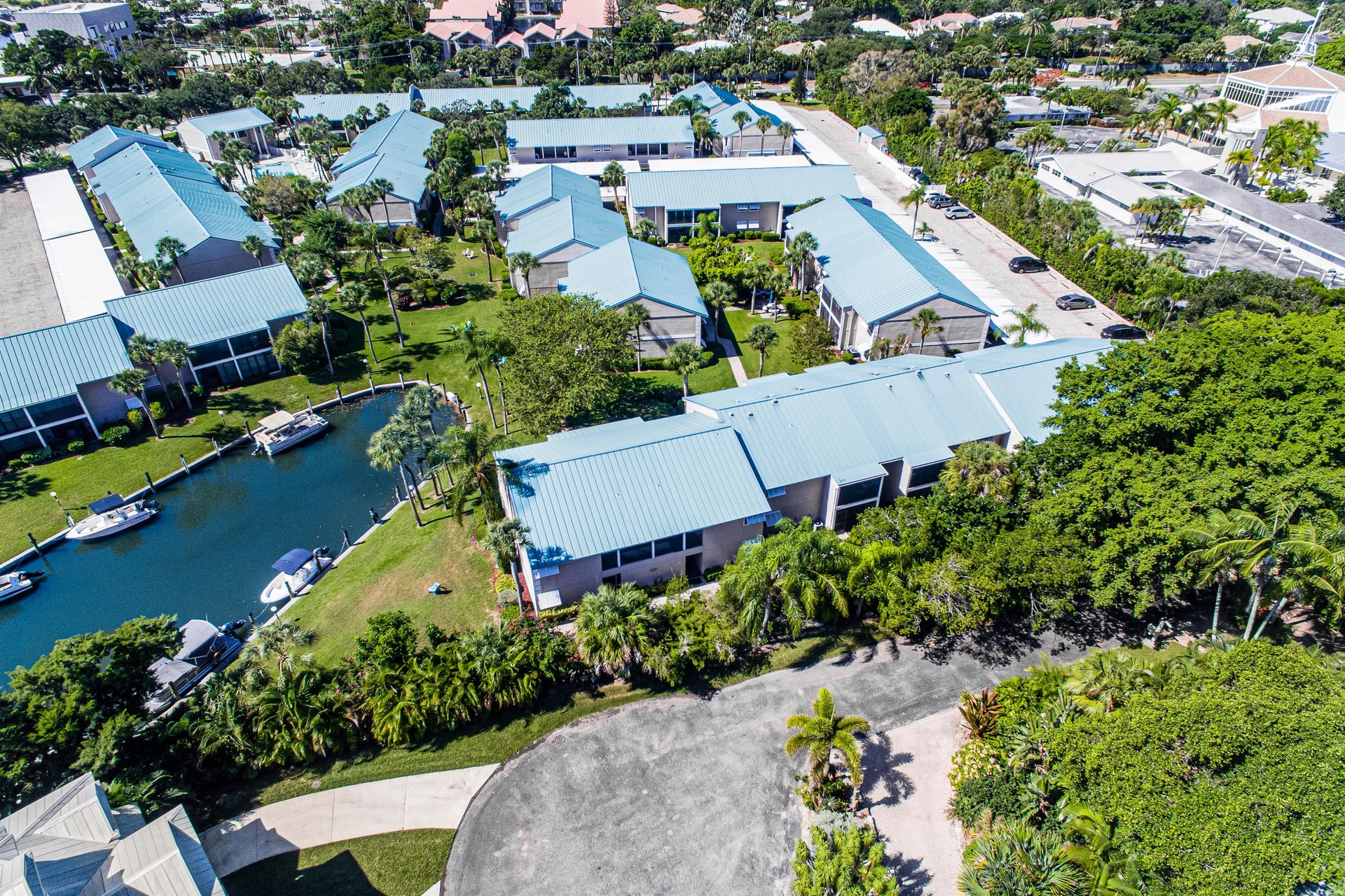 Blue Palm 41
