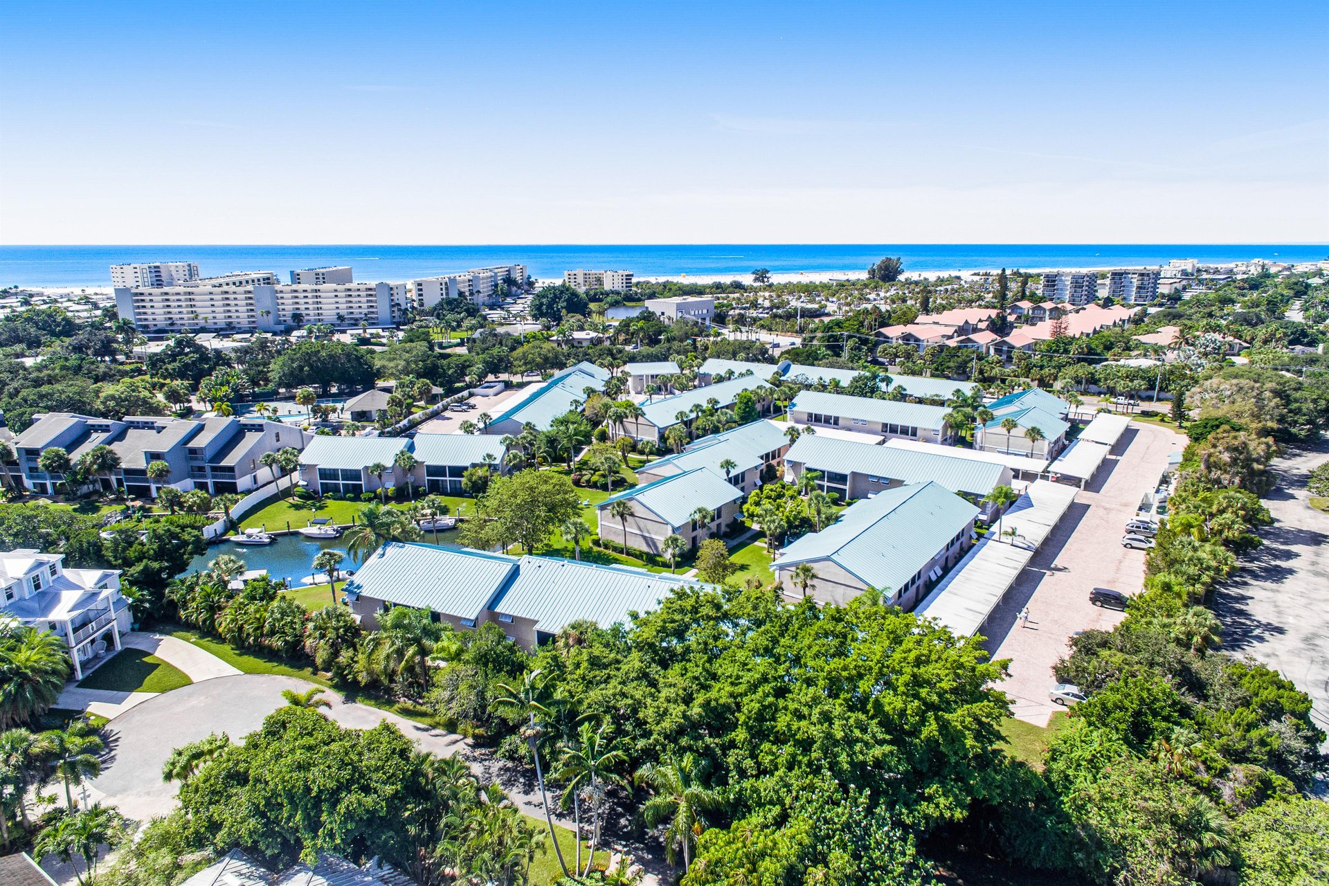 Blue Palm 42