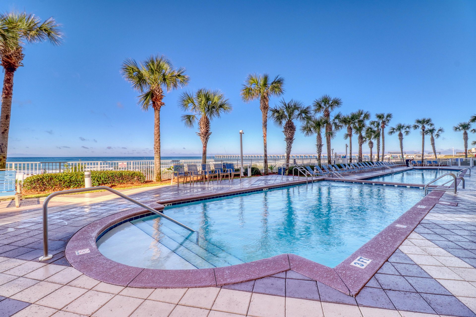 Dolphin Vista 2