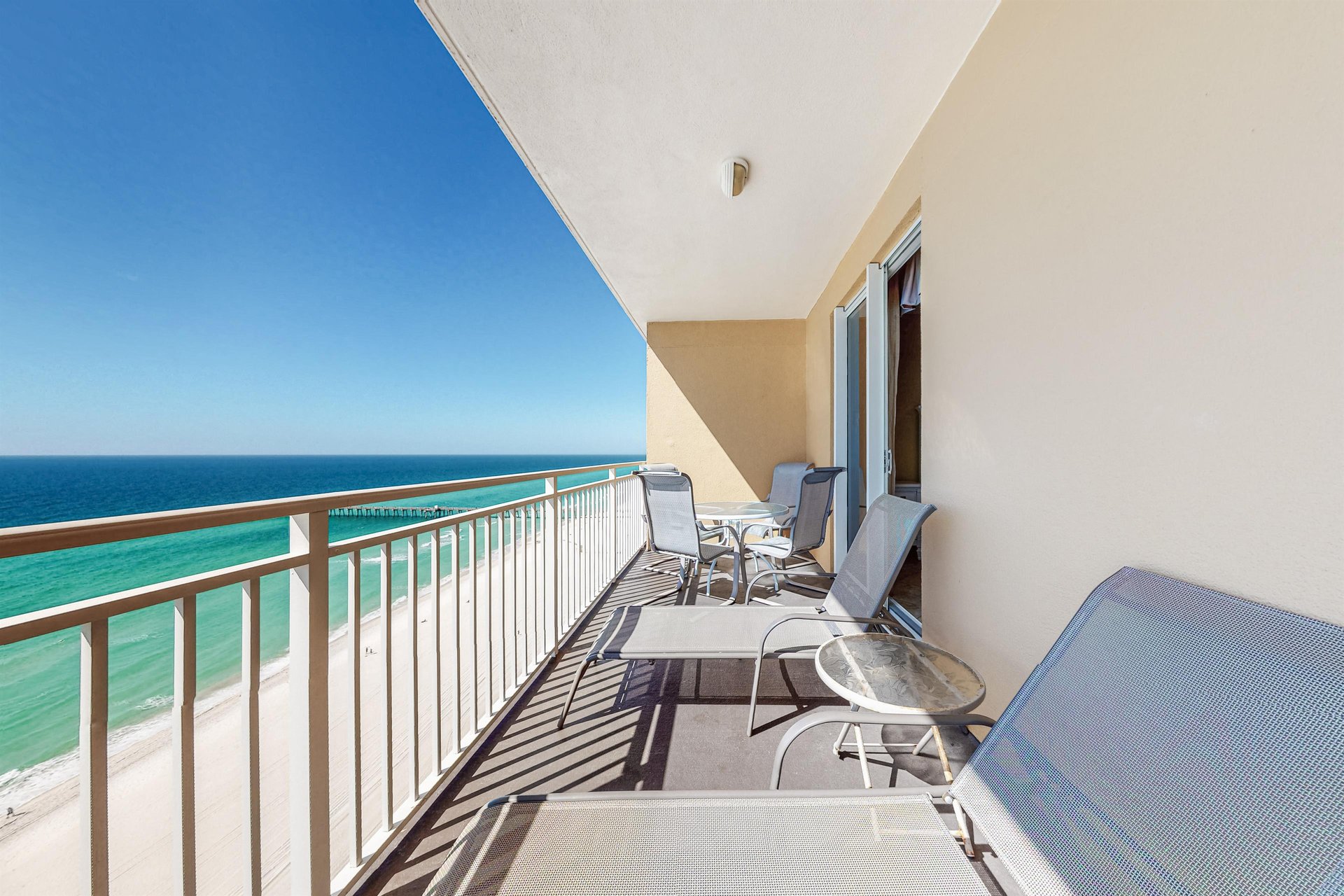 Dolphin Vista 3