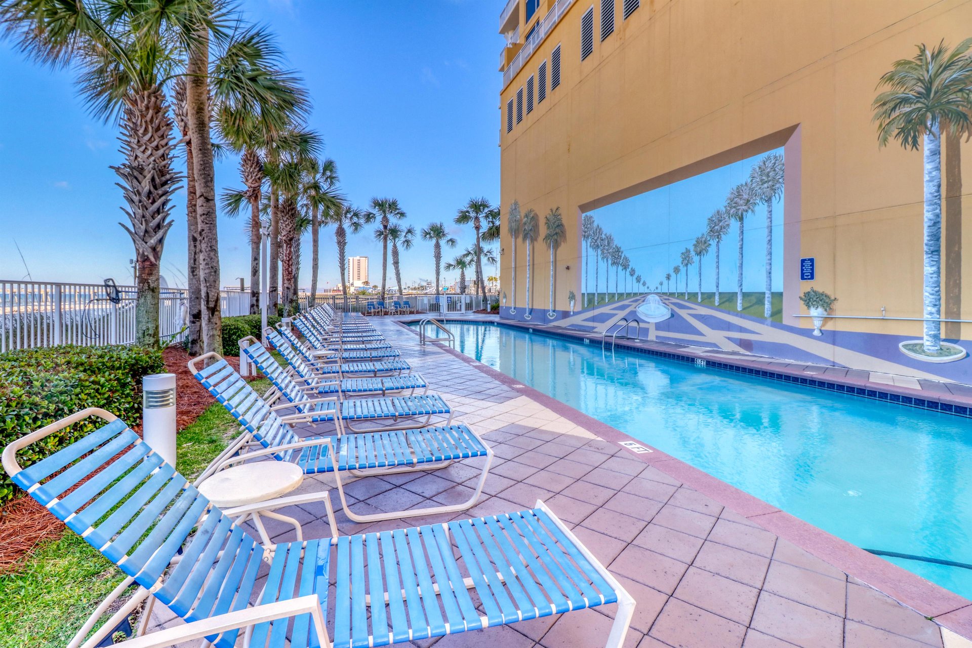 Dolphin Vista 34