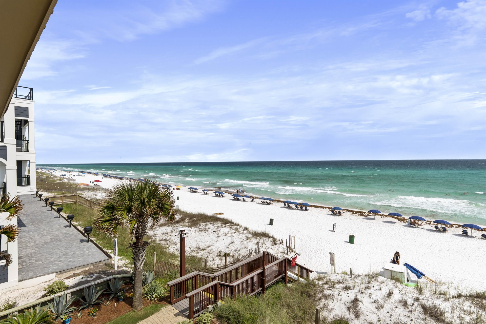 Coral Reef Club 34 22